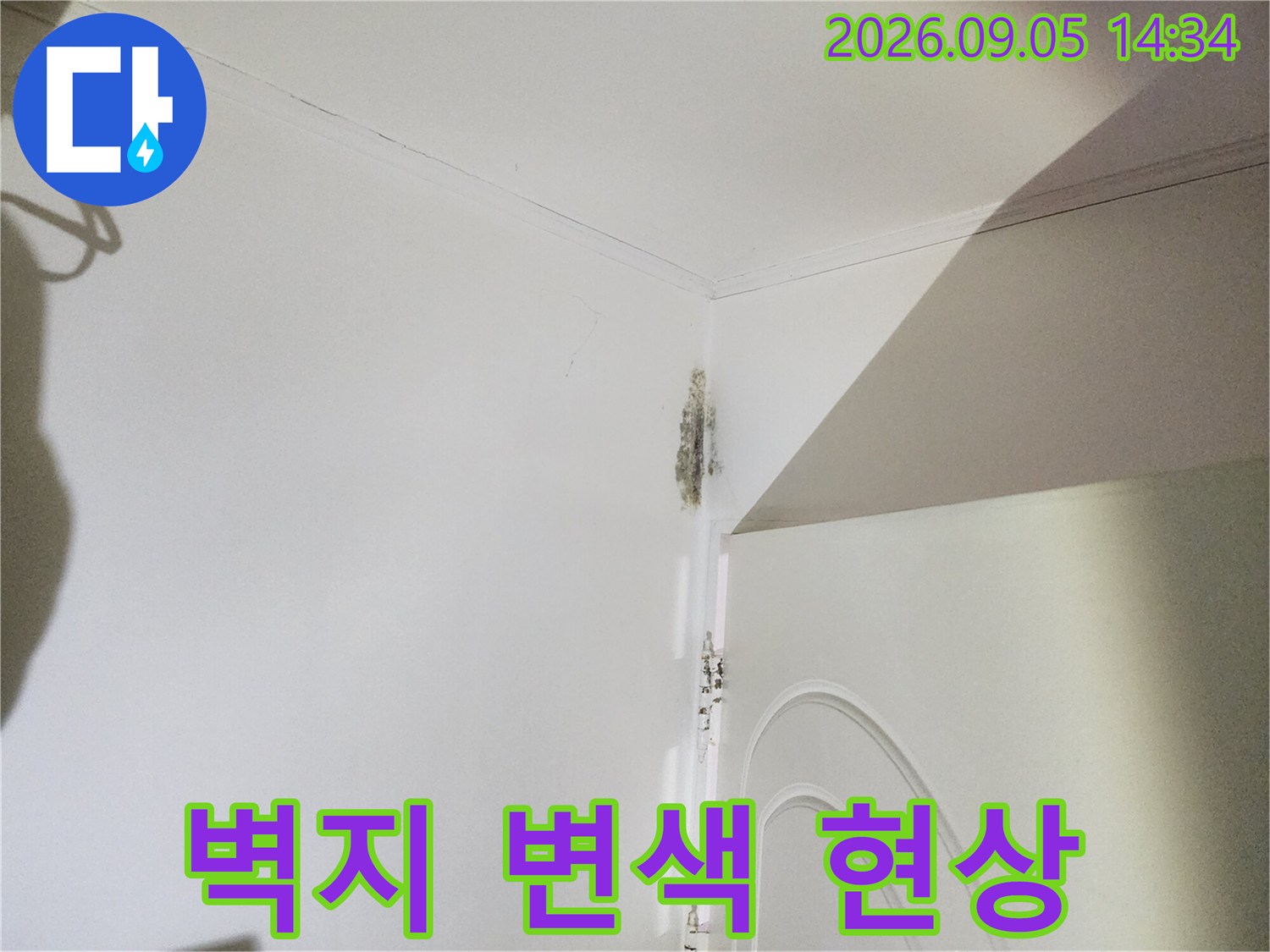 신사동 누수 현장-문틀 상단 벽지 얼룩 및 곰팡이