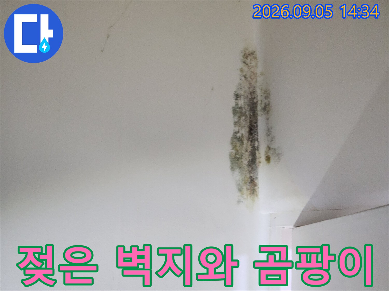 신사동 누수 현장-벽면 모서리에 발생한 곰팡이와 변색