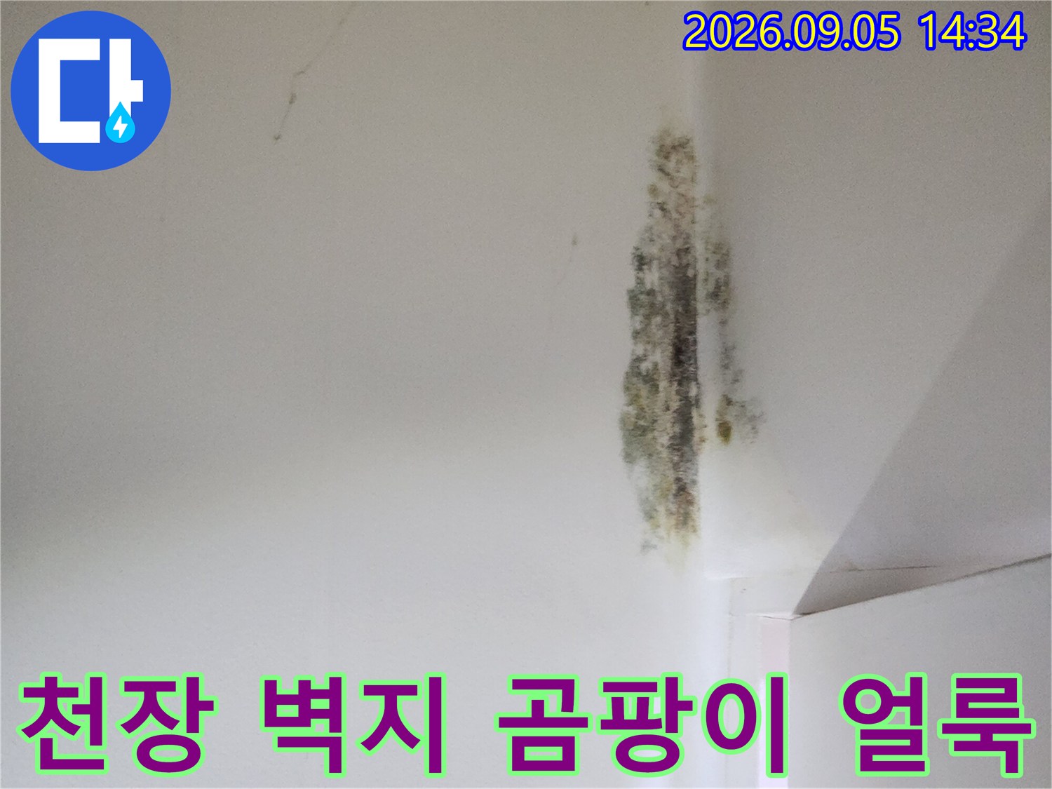 은평구 신사동 아파트-천장 모서리 벽지 곰팡이 발생 상태