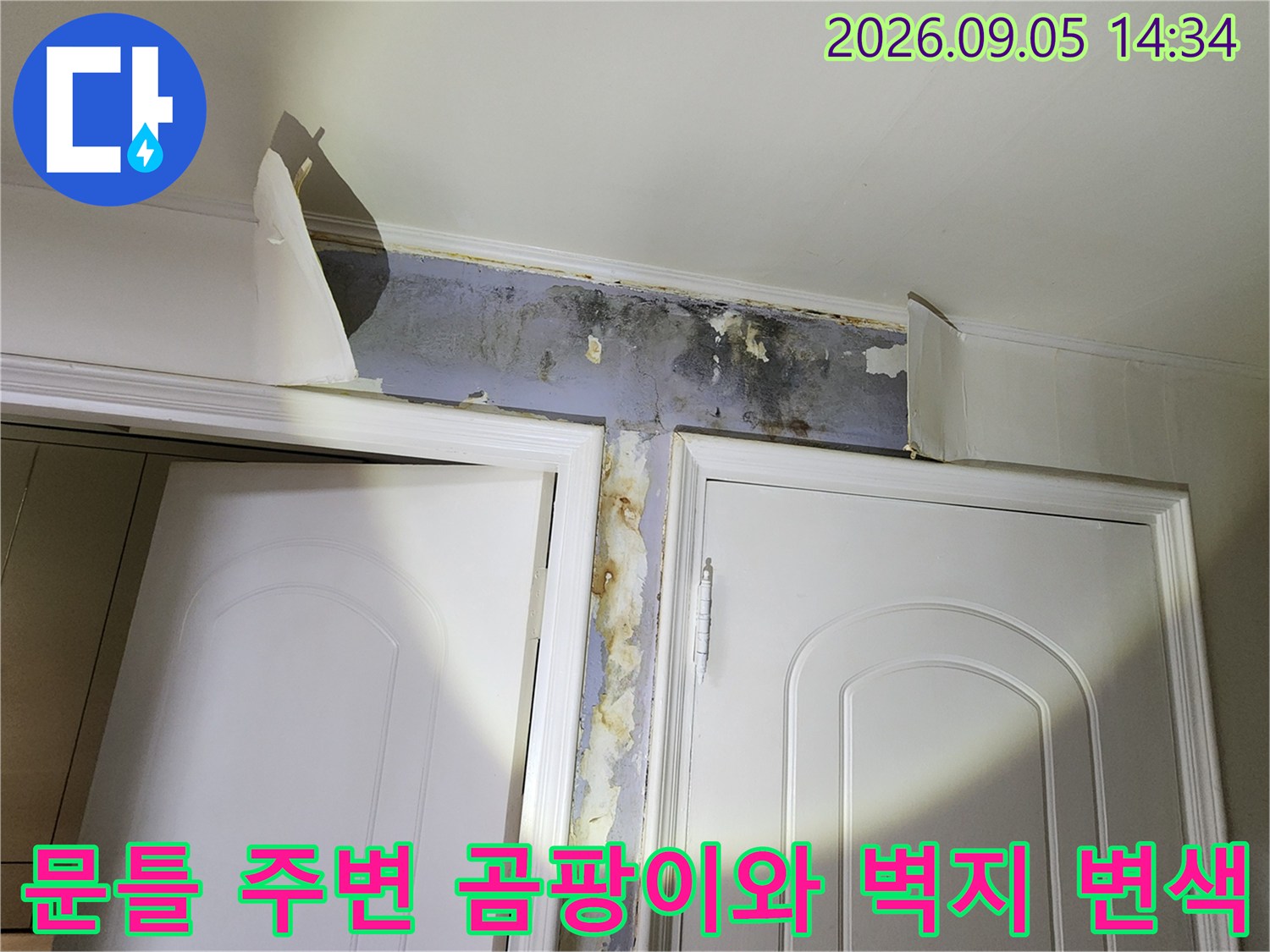 은평구 신사동 현장의 문틀 상단 벽지 곰팡이 및 변색 상태
