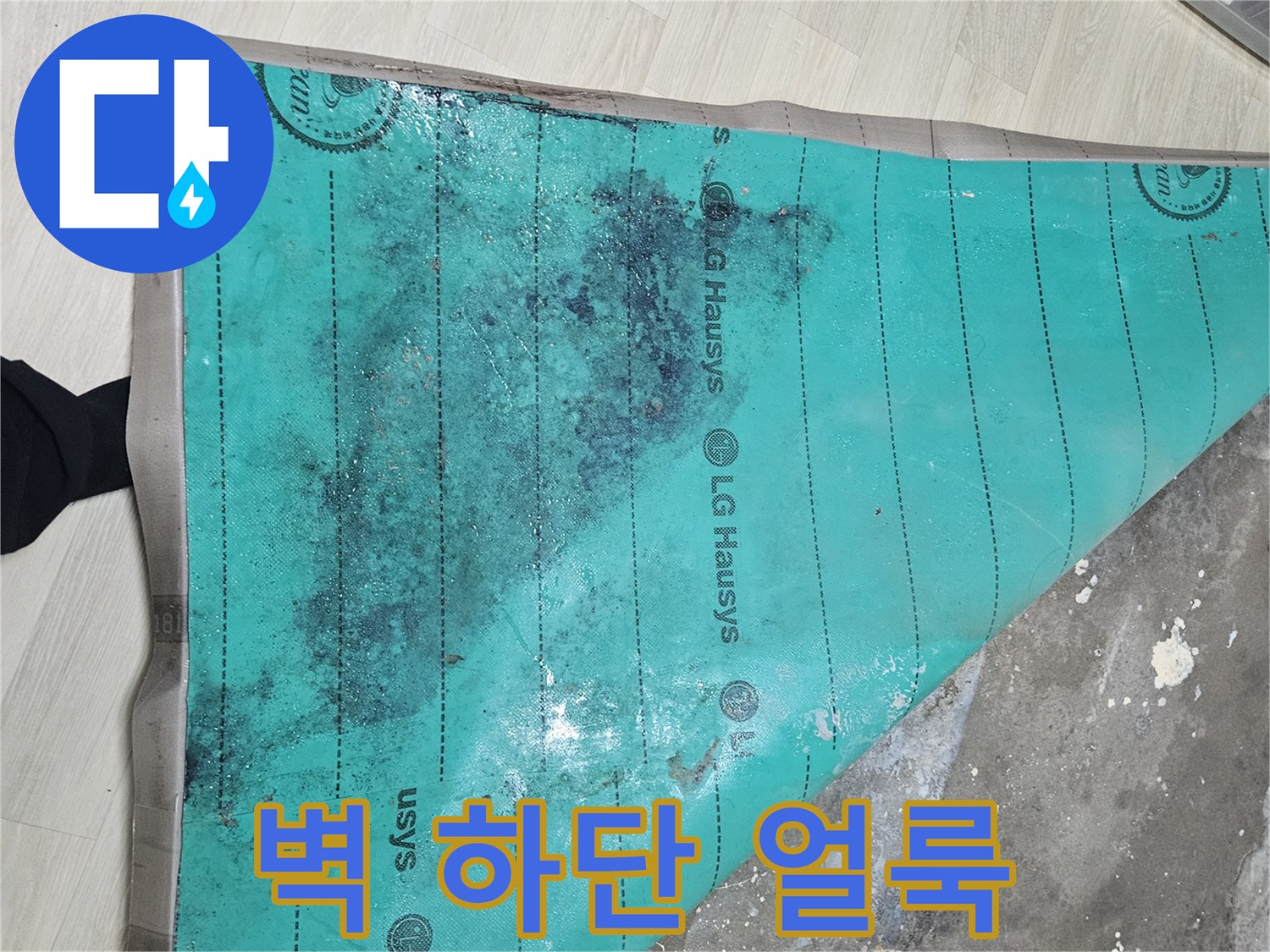 구로동 현장-습기로 변색된 벽면 하부 모습