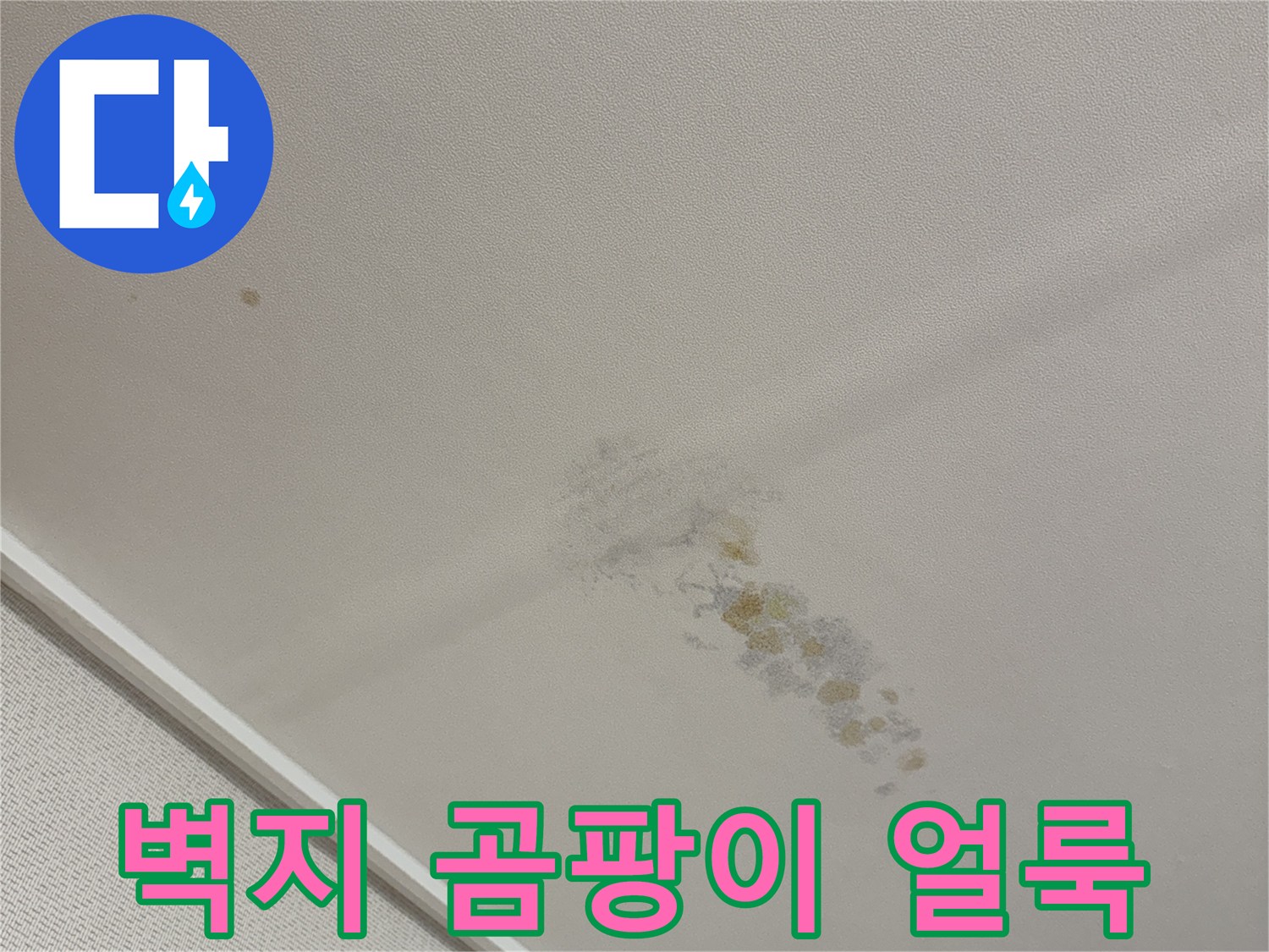 물샘 증상으로 인해 발생한 천장 벽지 오염 부위