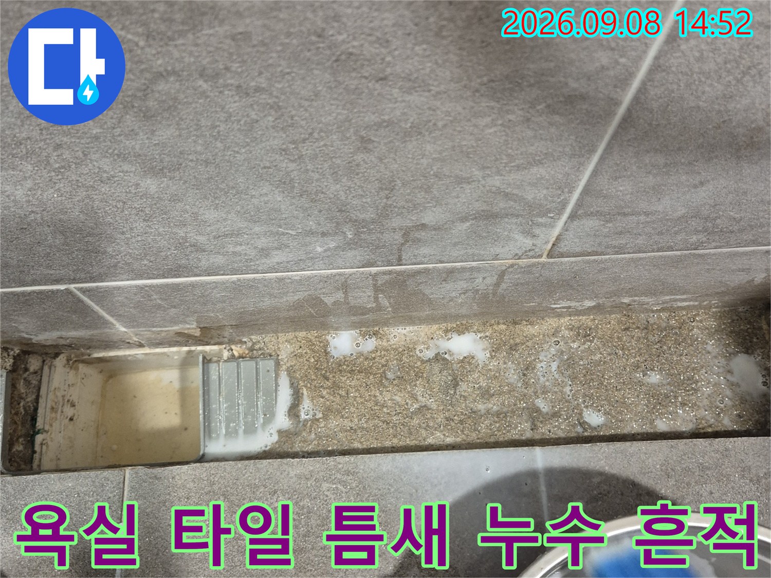 과천 중앙동 욕실-타일 사이 오염 및 물기 확인