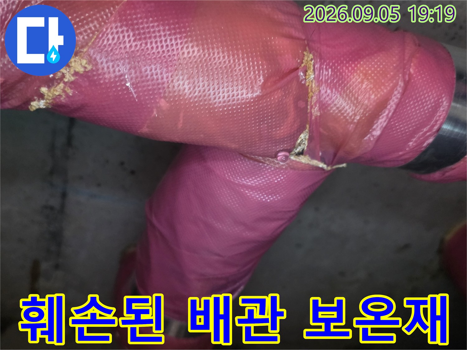 찢어진 분홍색 보온재-천장 배관 연결 부위의 훼손 상태