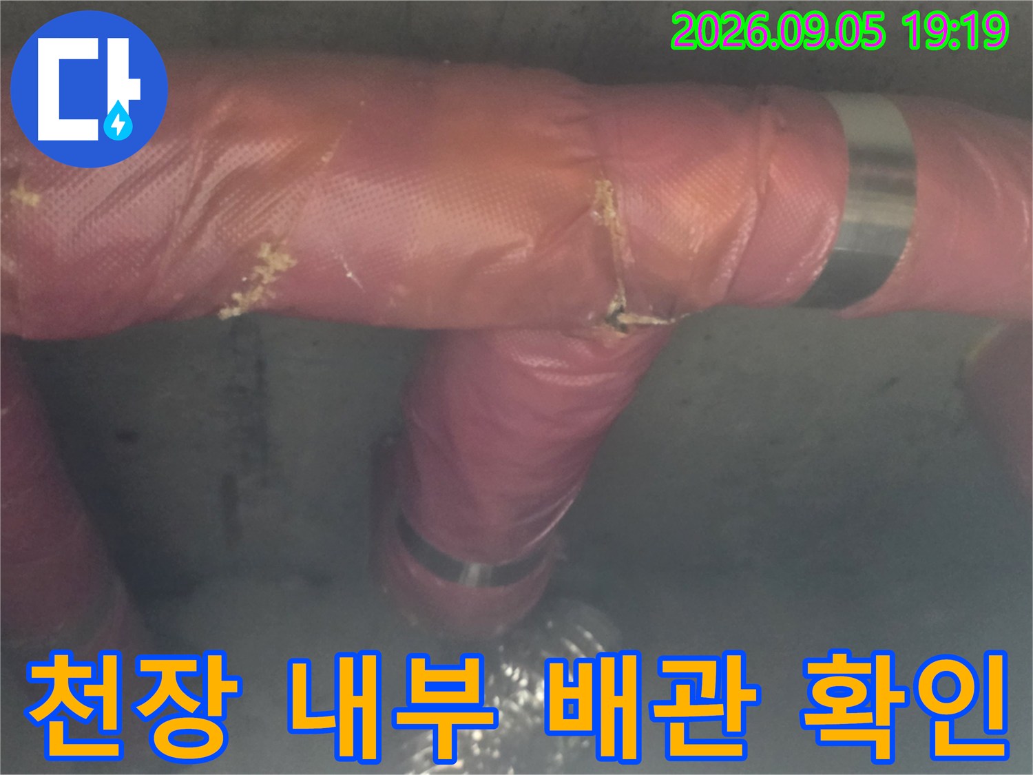 화장실-천장 점검구-내부 배관의 보온재 훼손 상태를 관찰 중입니다