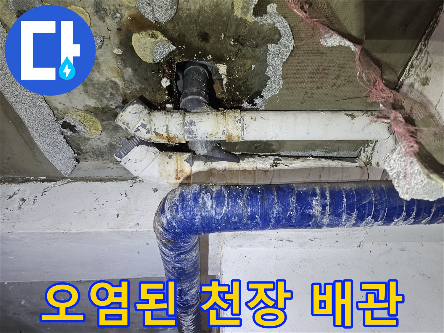 물샘으로 인해 부식되고 변색된 배수 파이프와 천장