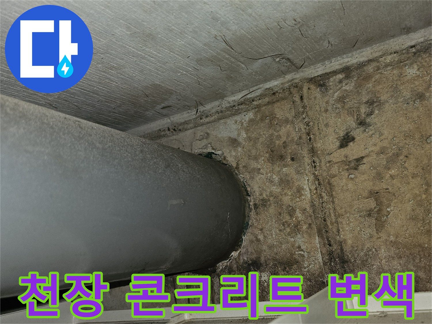 습기로 인해 검게 변한 천장 콘크리트 표면