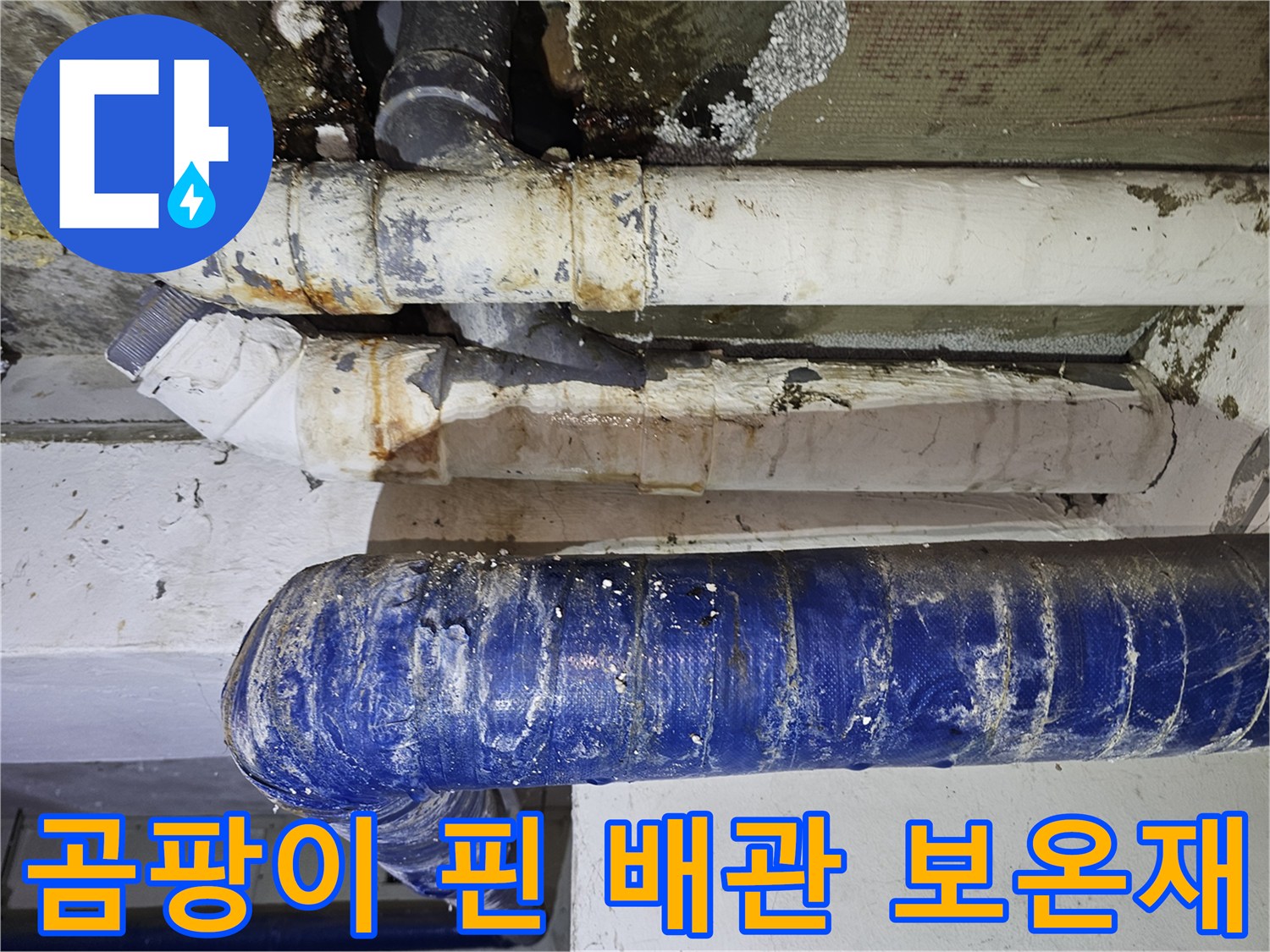 배관-보온재-표면에-발생한-곰팡이와-얼룩