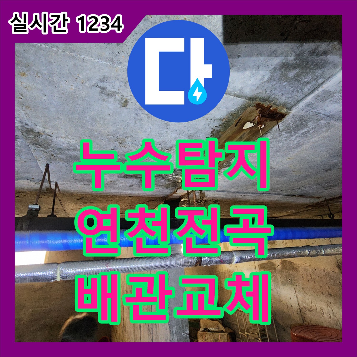 누수탐지 빌라 1층 싱크대 앞 배관 파손으로 지하 천장까지 물이 새는 상황을 해결한 경기 연천군 전곡읍 사례