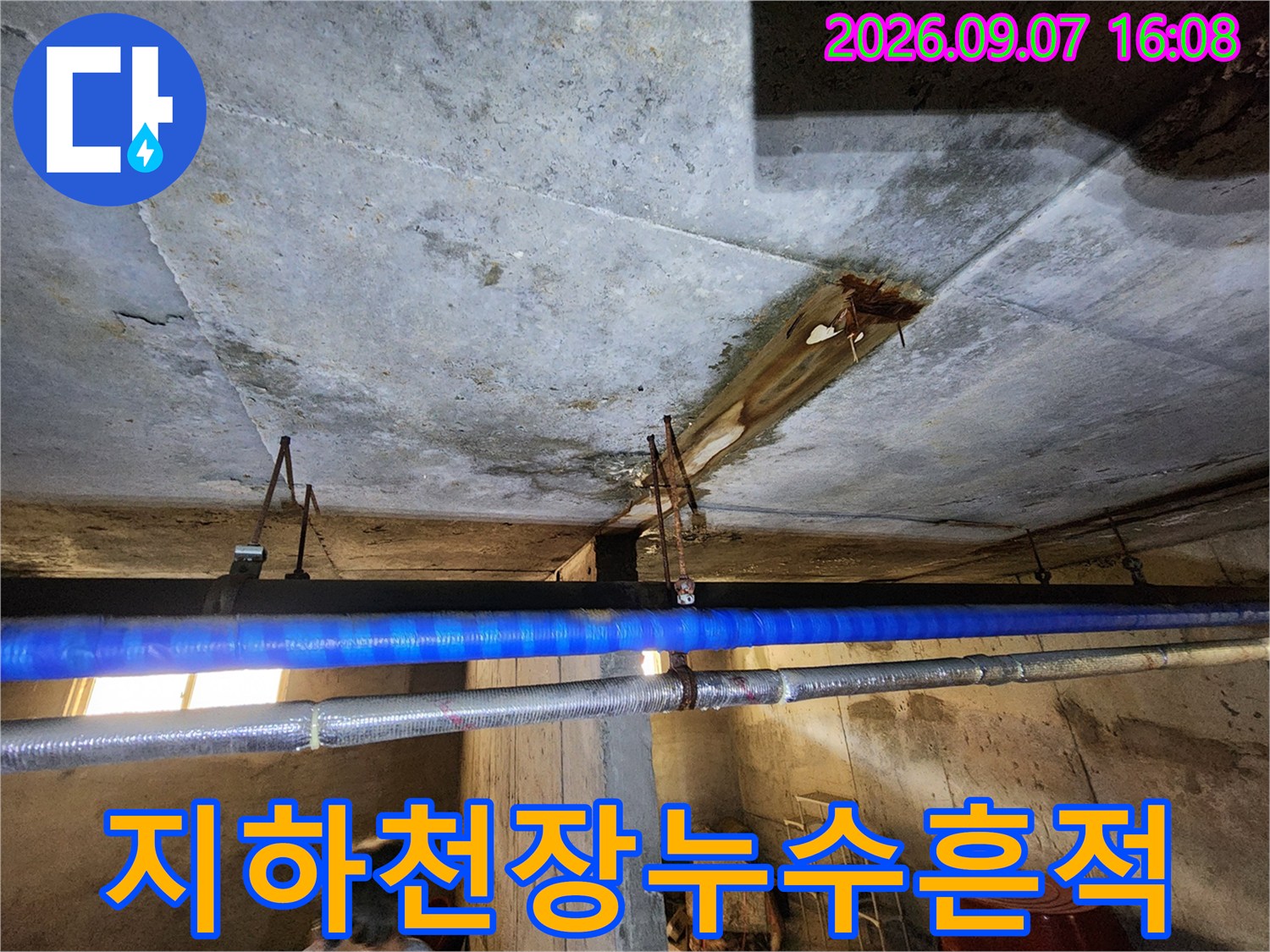 연천군-전곡읍-빌라-지하층-천장-콘크리트-슬라브-누수-오염-상태