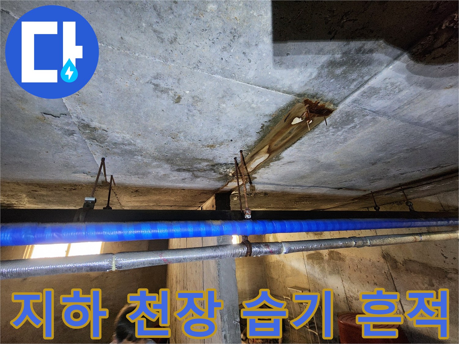 전곡읍 빌라-천장 배관 주변 누수 흔적