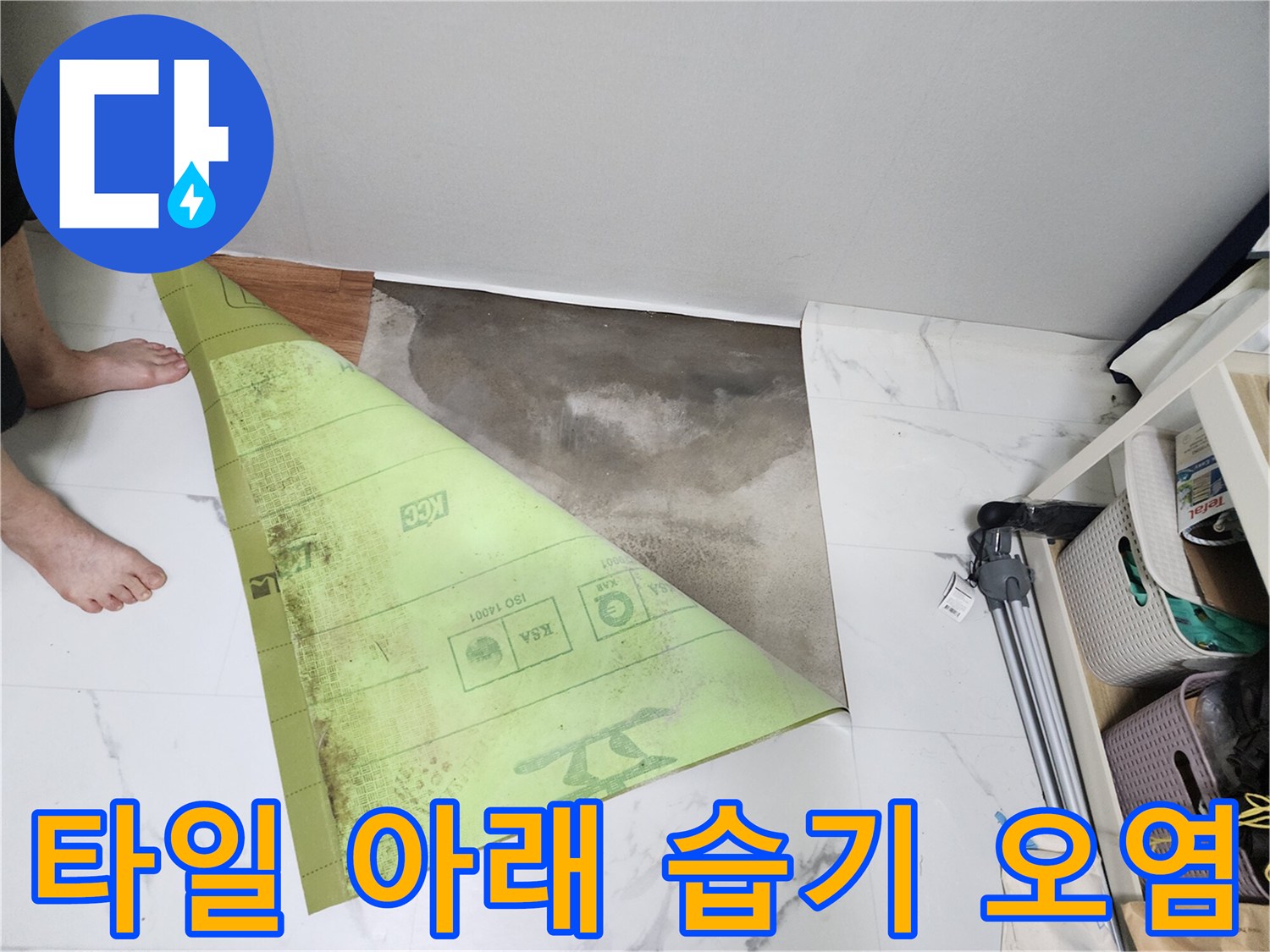전곡읍 빌라 현장의-타일 틈새로 스며든 물기로 인한 바닥 오염 상태입니다.