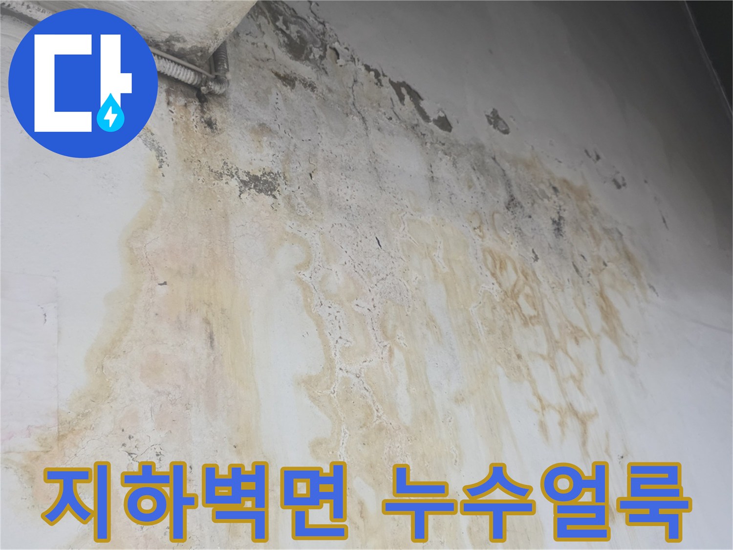 배관 결함으로 인한-지하 계단실 벽면의 백화와 얼룩
