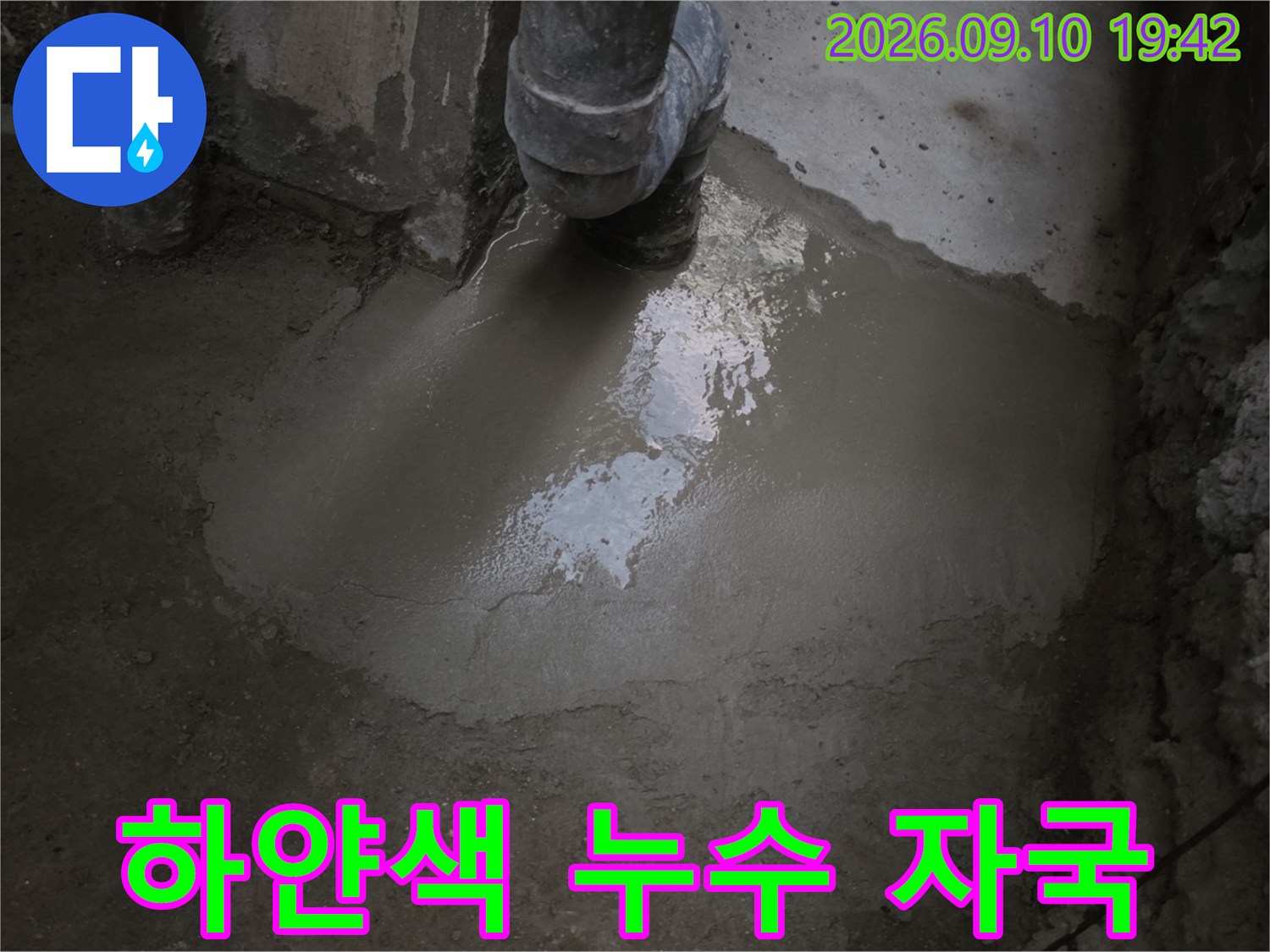 천장에 발생한 하얀색 백화와 물샘 흔적 사진