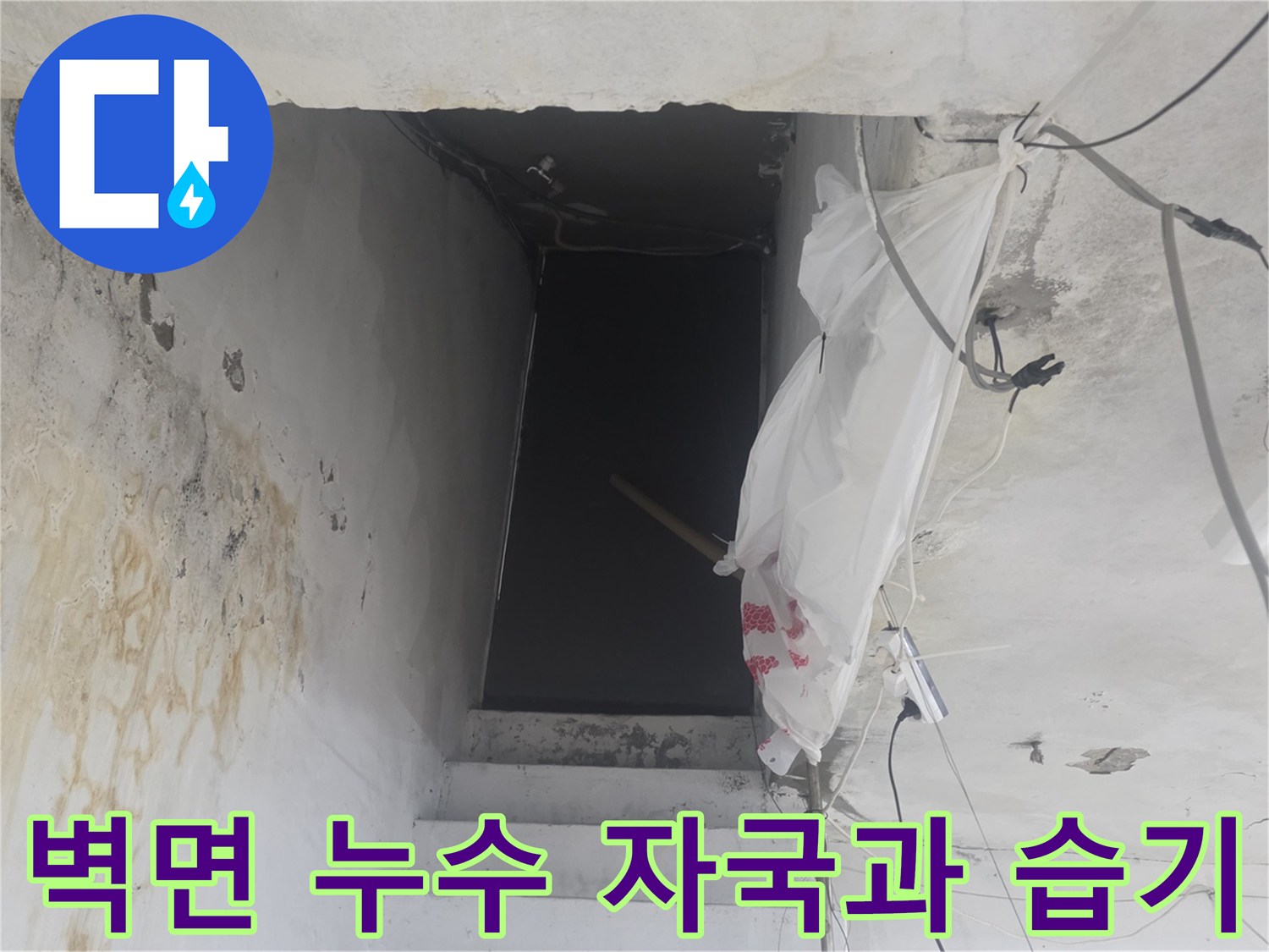 화곡동 지하 계단 벽면에 남은 심각한 누수 흔적과 습기