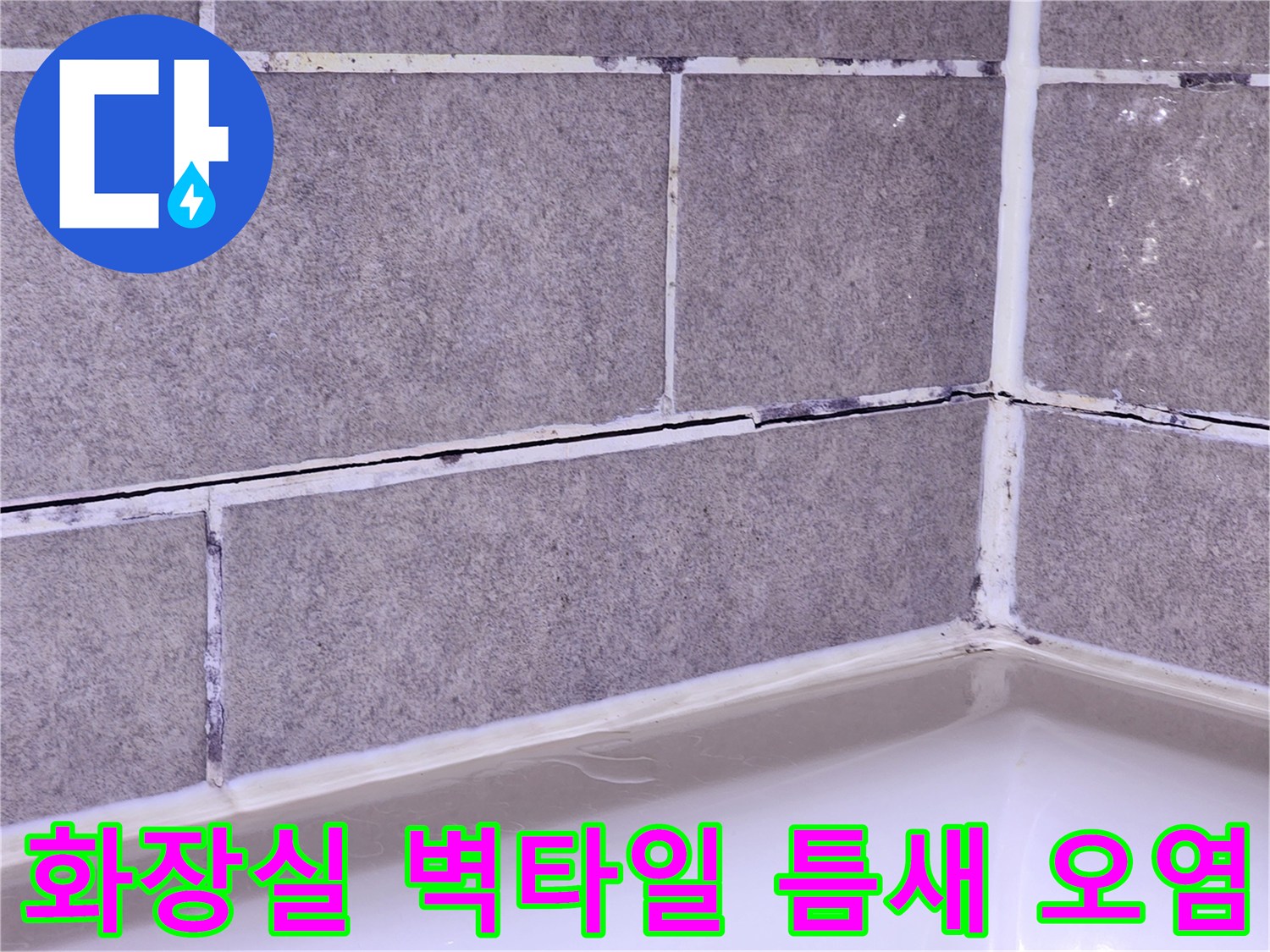 욕실-벽면-타일-사이-수분-침투-및-곰팡이