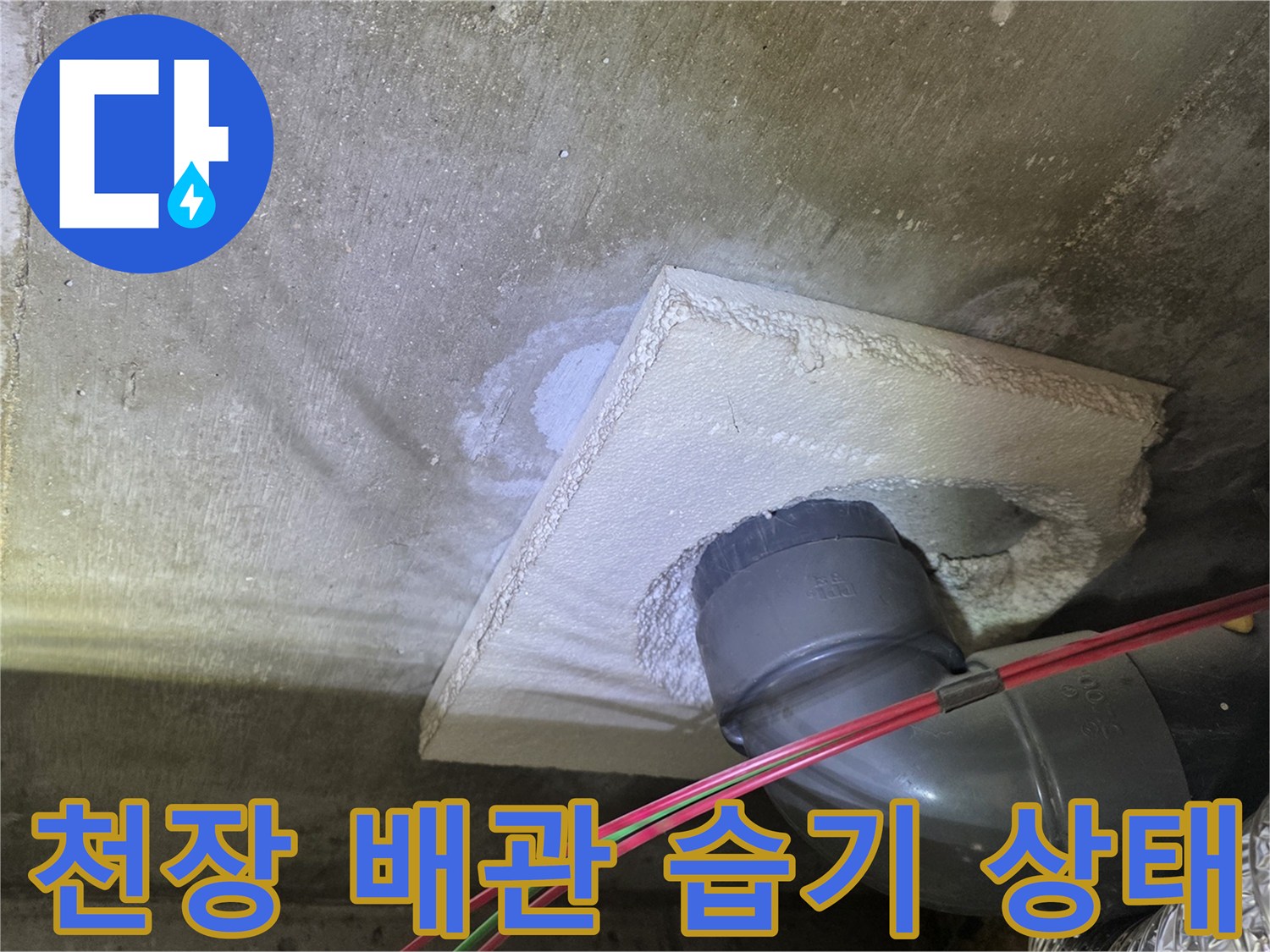 천장 슬라브 사이로 스며든 배관 주변의 젖은 흔적