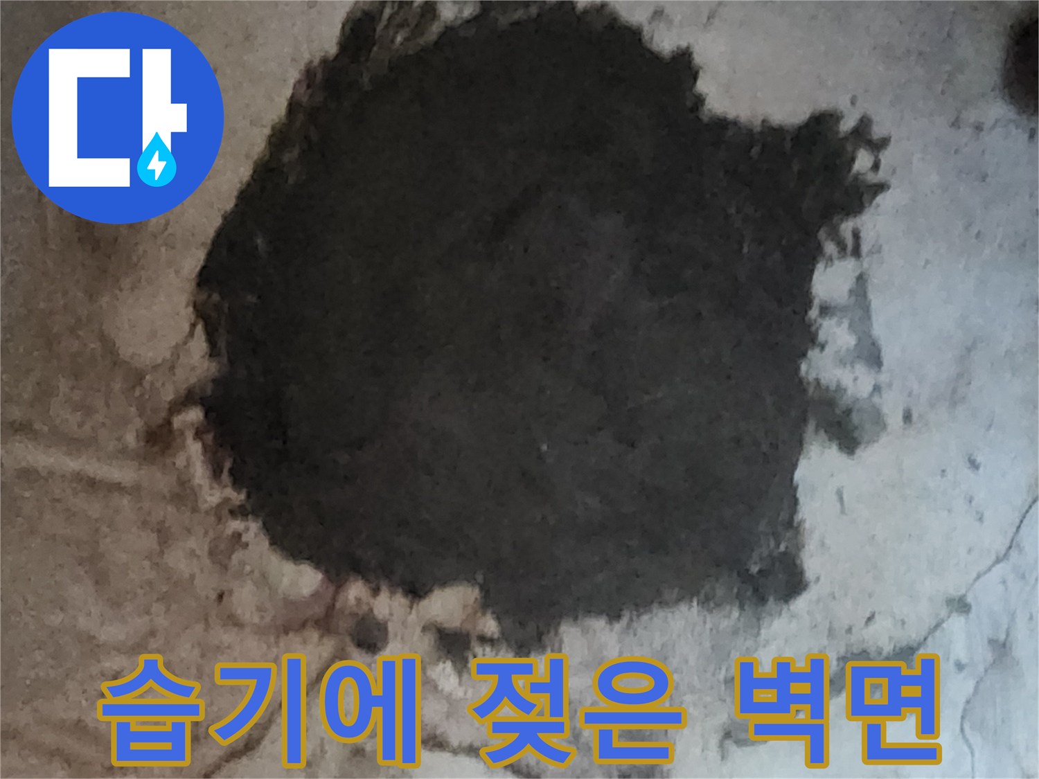 누수로 인해 습기가 가득 차 곰팡이가 피어있는 지하실 벽면