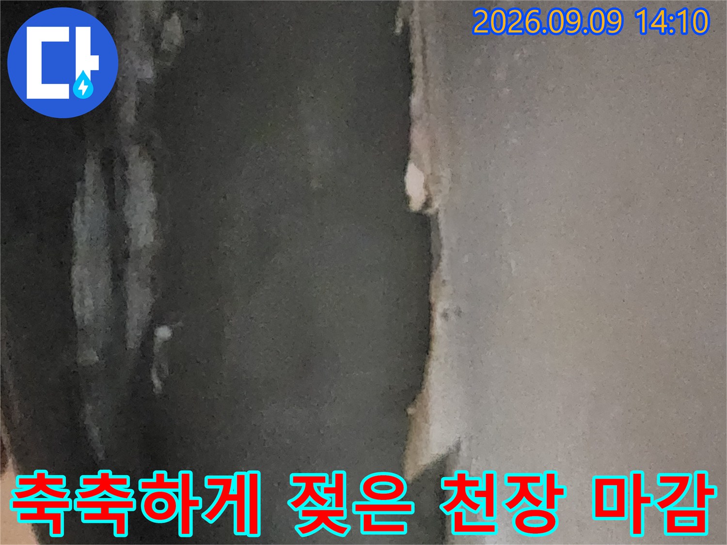 물기가 스며들어 검게 변한 지하실 천장 표면