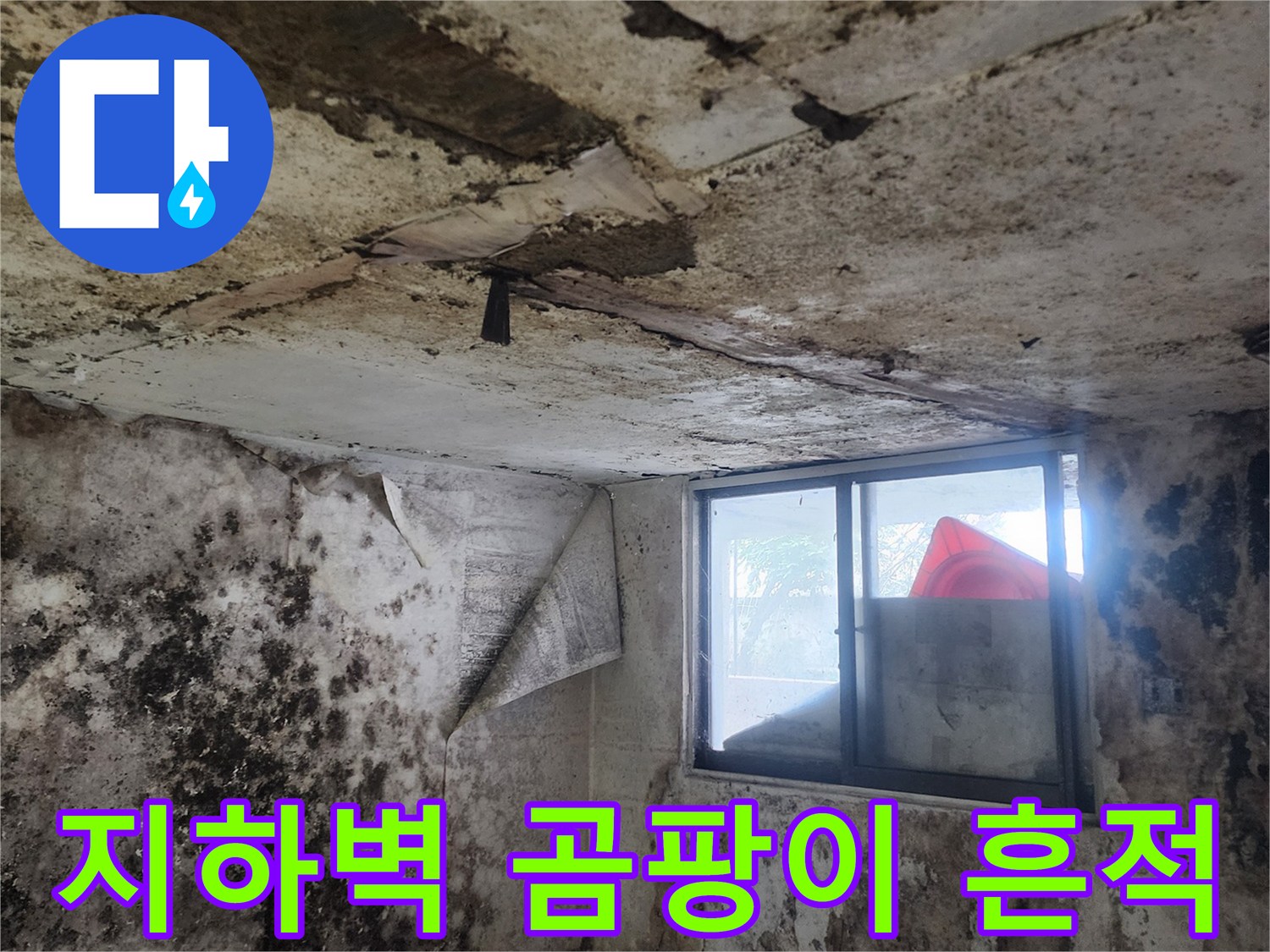 습기가 많은 지하실 벽면과 바닥의 오염 상태