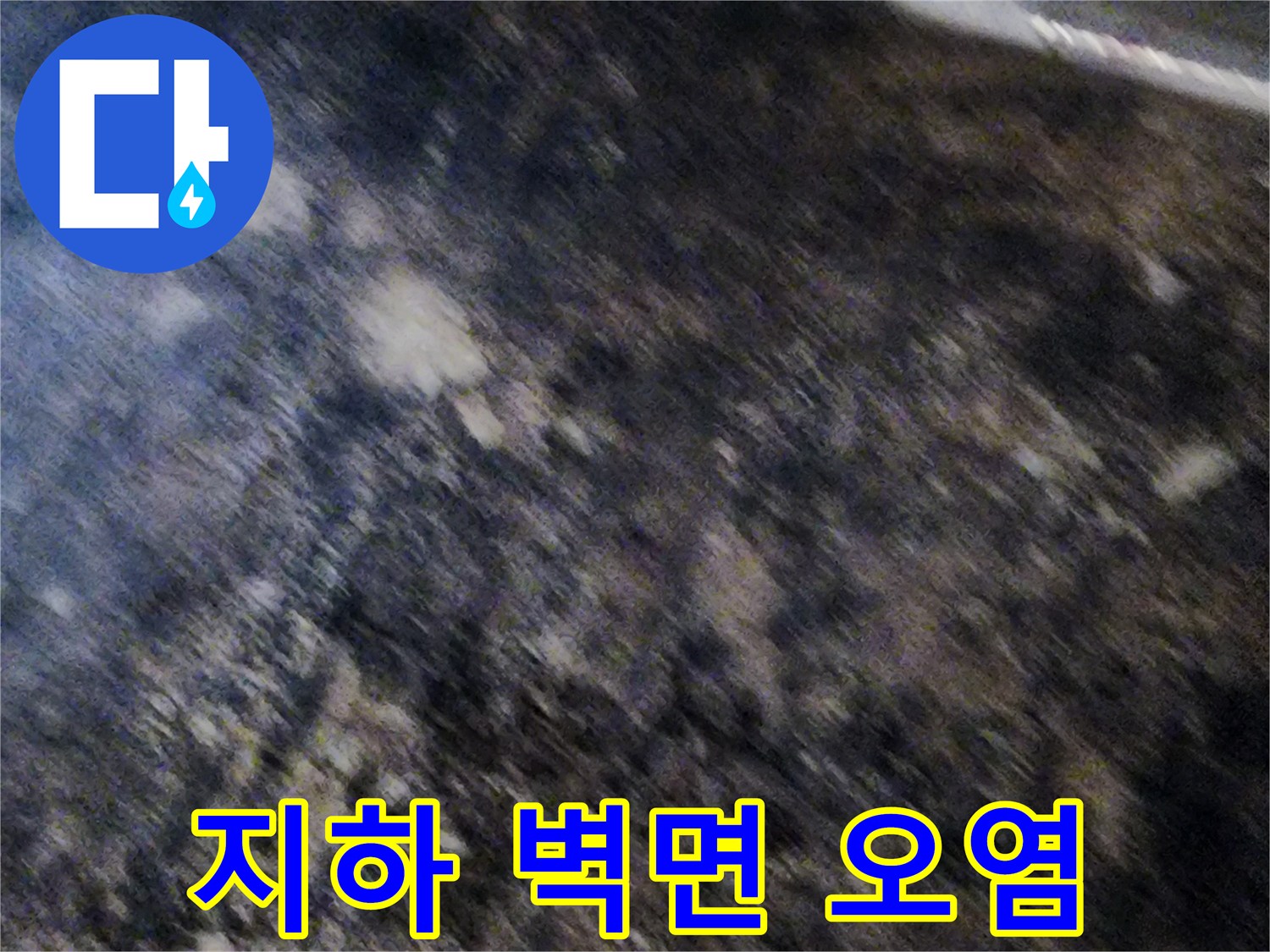 습기로 인해 검게 변한 지하실 벽면과 곰팡이 흔적