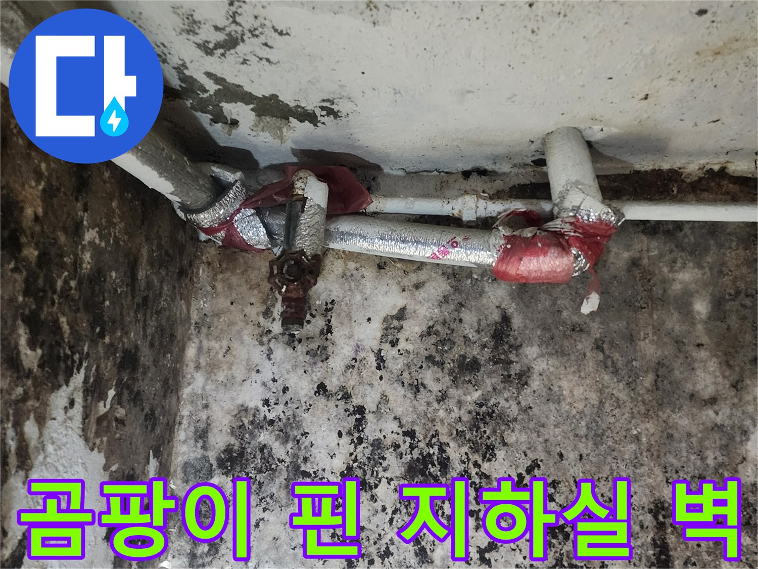 습기로 인해 검게 변한 지하실 벽면과 노출된 급수 배관
