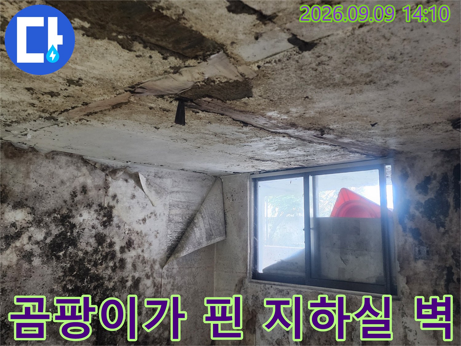 습기로 인해 검게 변한 지하실 벽면과 창문 주변 상태