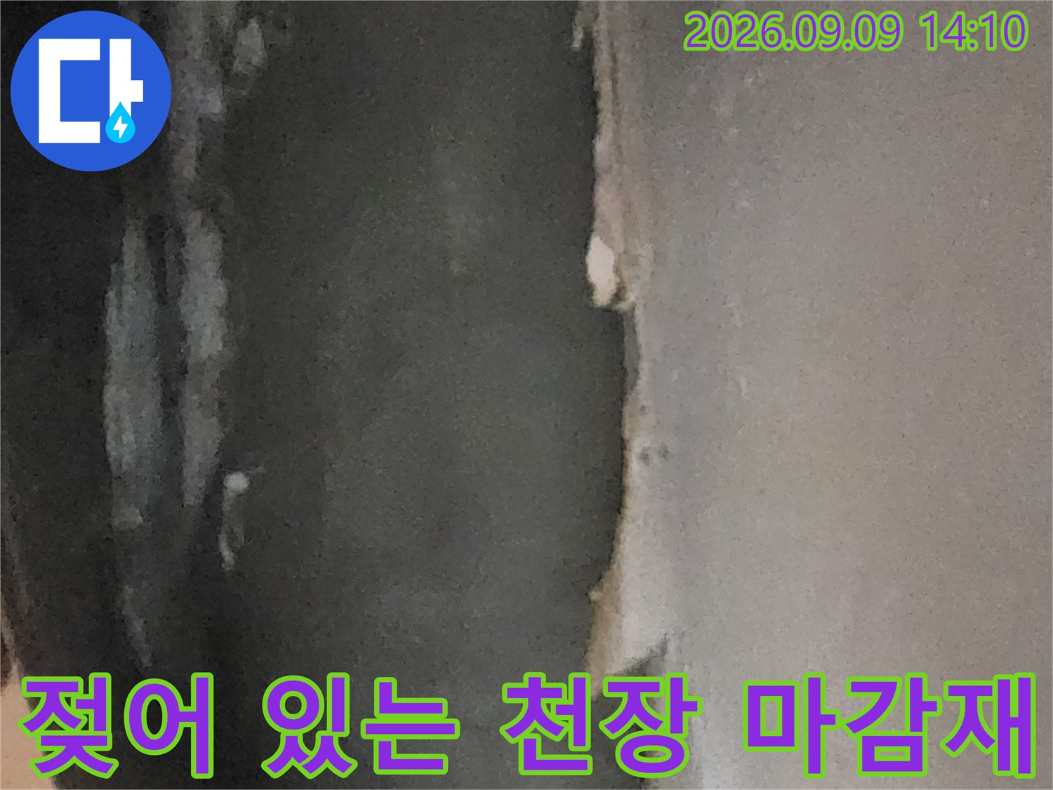 습기를 머금어 하얗게 들뜬 지하실 천장 마감재의 모습