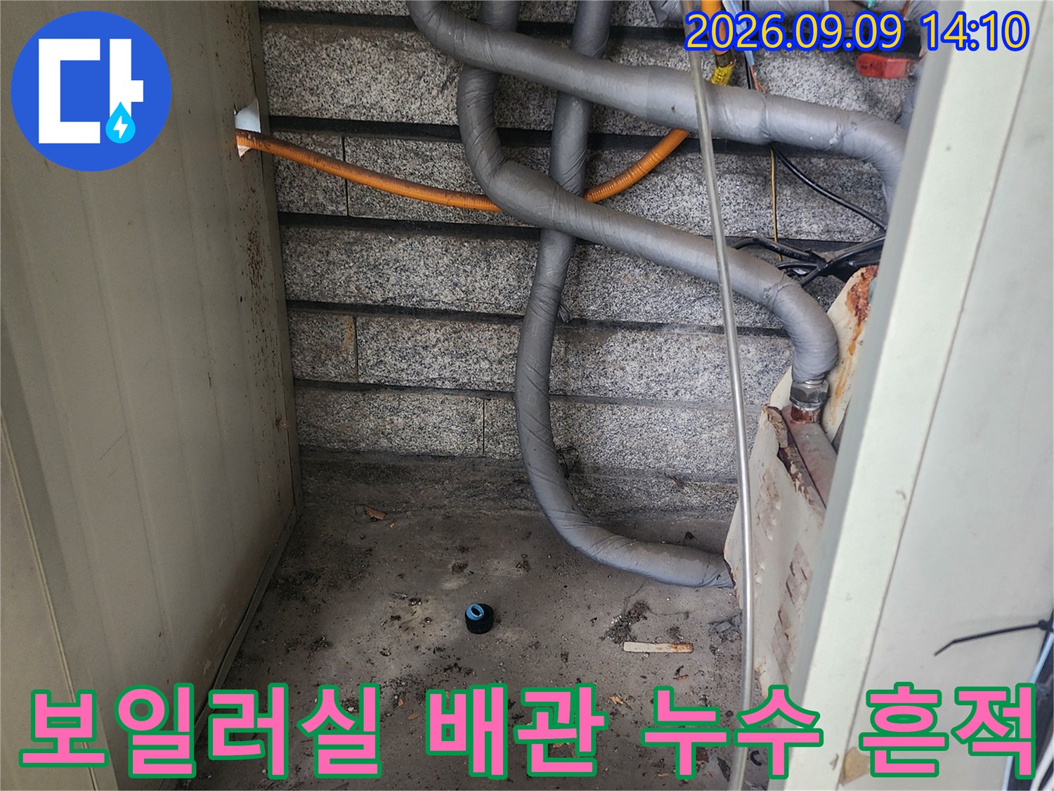 습기와 곰팡이가 관찰되는 지하실 보일러 배관 현장