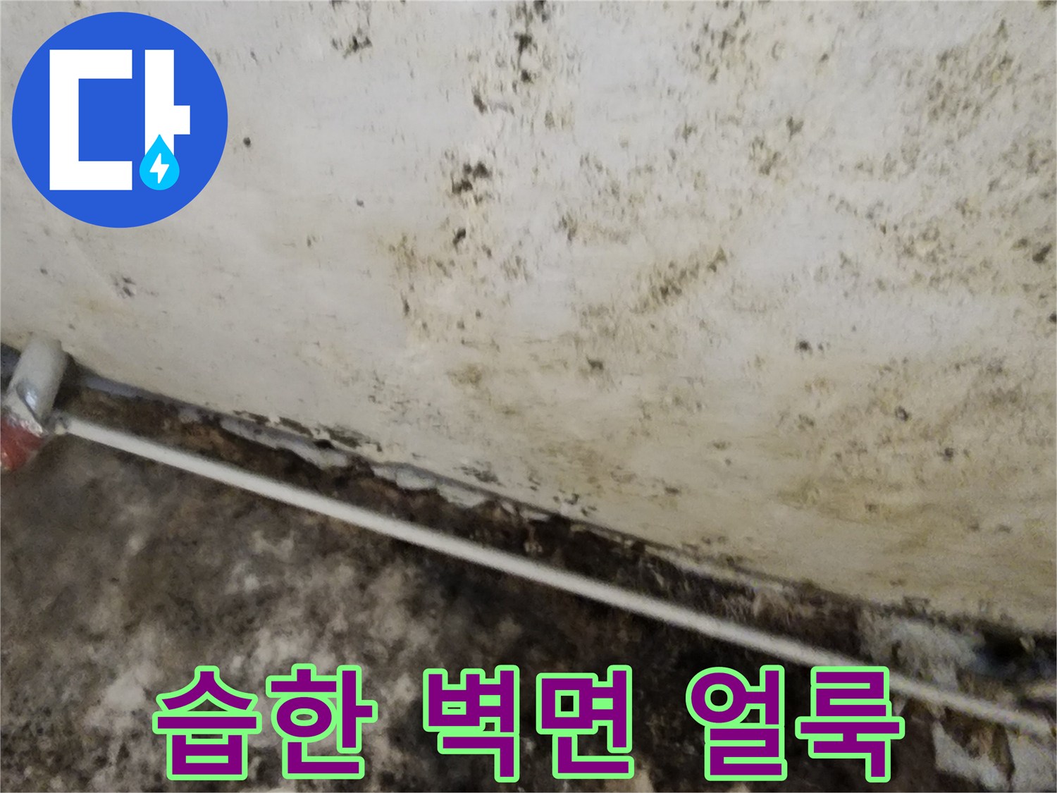 지하 공간 벽면 - 누수로 인해 변색된 벽지와 곰팡이 흔적