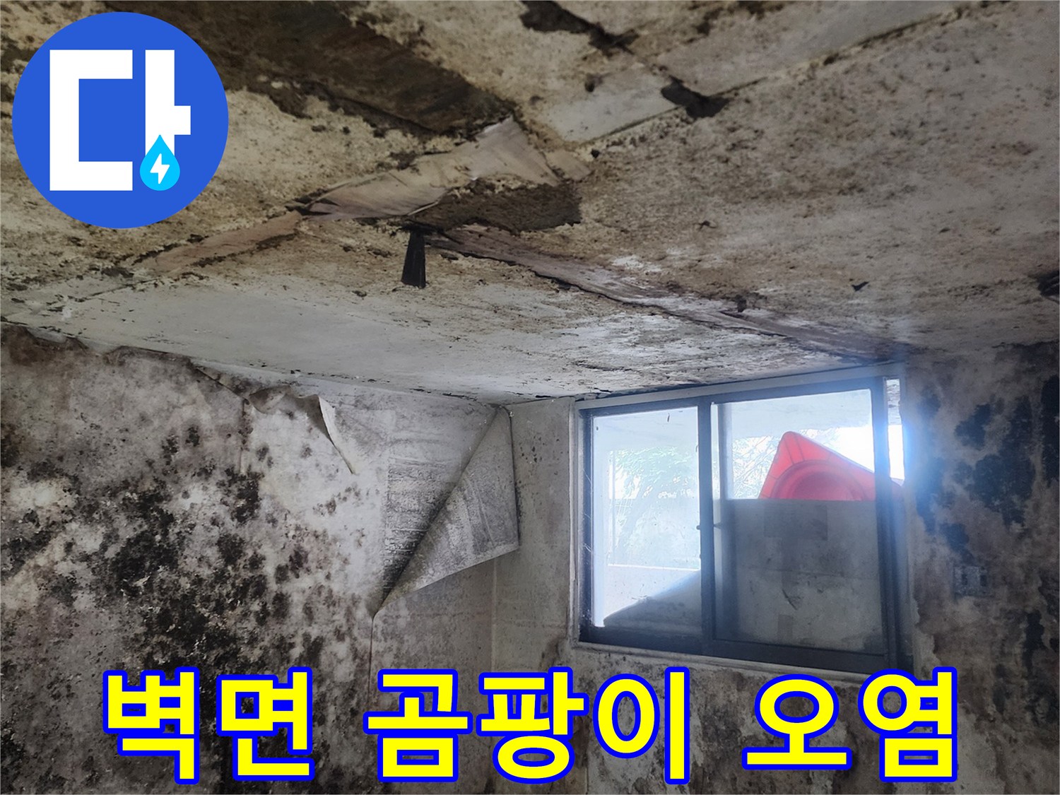 지하 공간 벽면에 넓게 퍼진 검은색 곰팡이 흔적