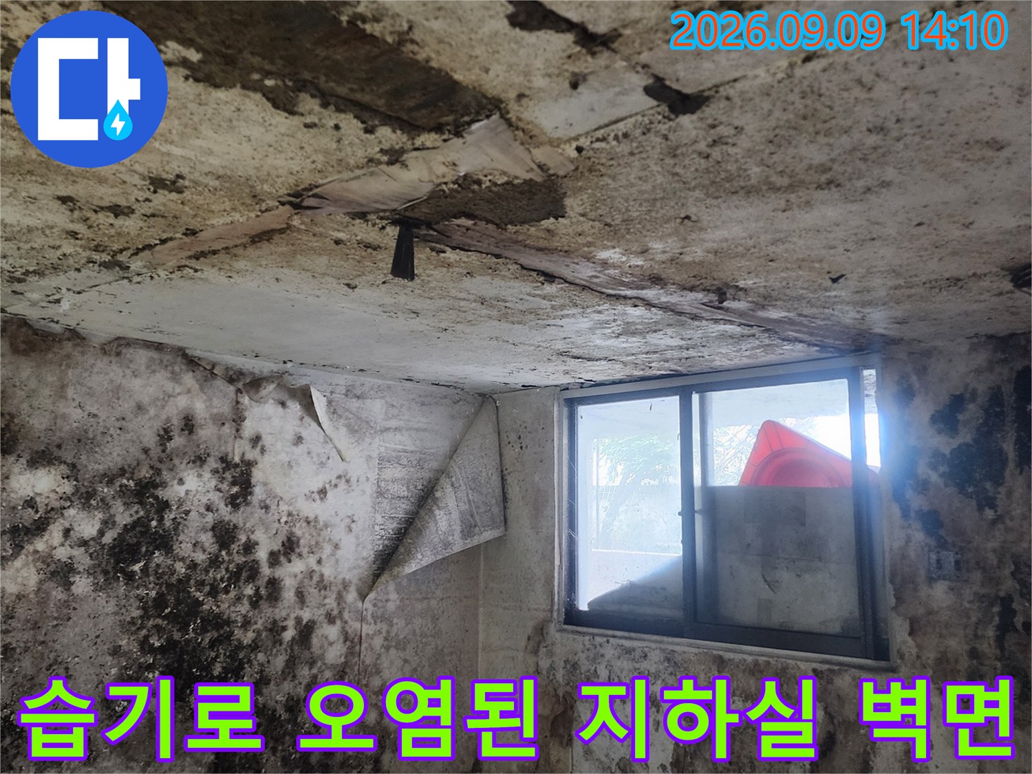 지하 공간의 벽체와 창문 주변에 나타난 누수 흔적과 곰팡이입니다.