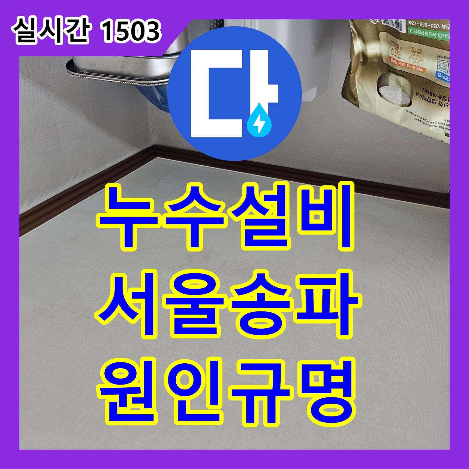 누수설비 방과 거실 벽면에 발생한 광범위한 곰팡이 누수를 정밀 진단한 서울 송파구 석촌동 현장
