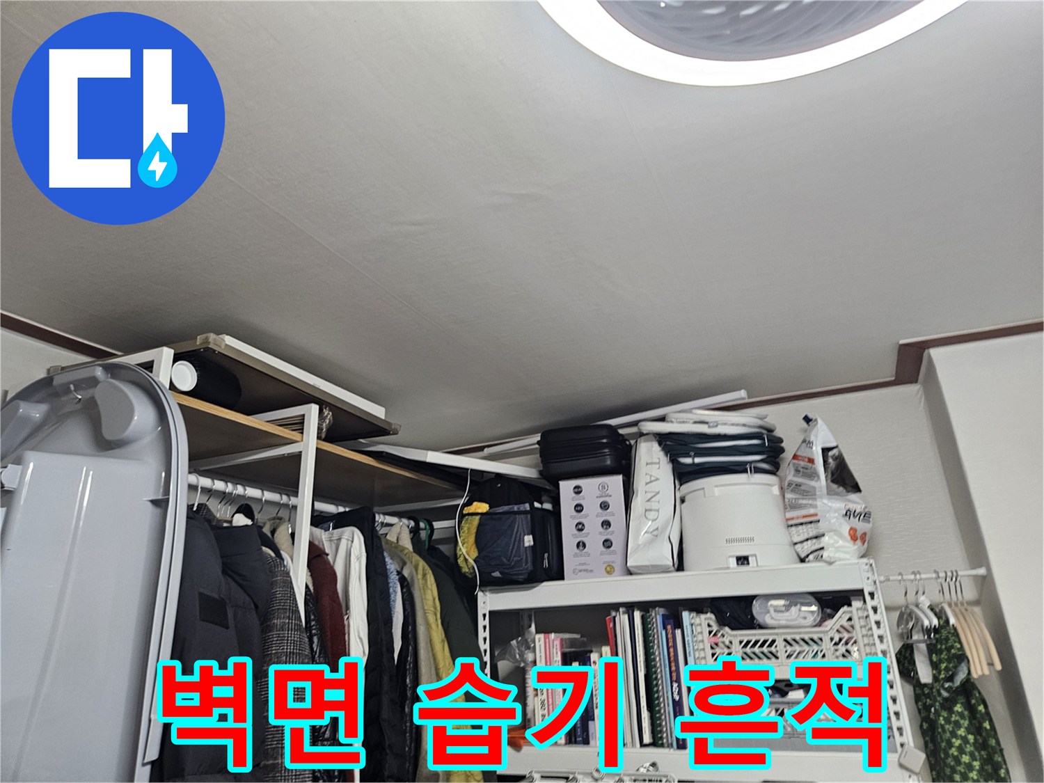송파구 석촌동 현장의 벽면 곰팡이와 습기 흔적 사진