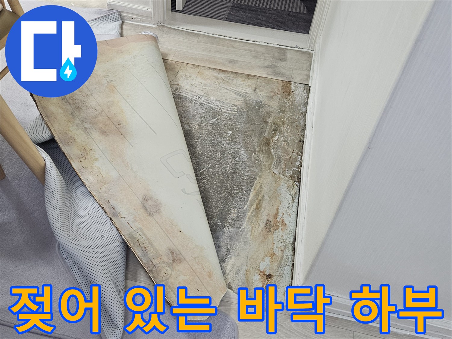 누수 유입으로 인해 젖고 변색된 바닥 마감재 하부