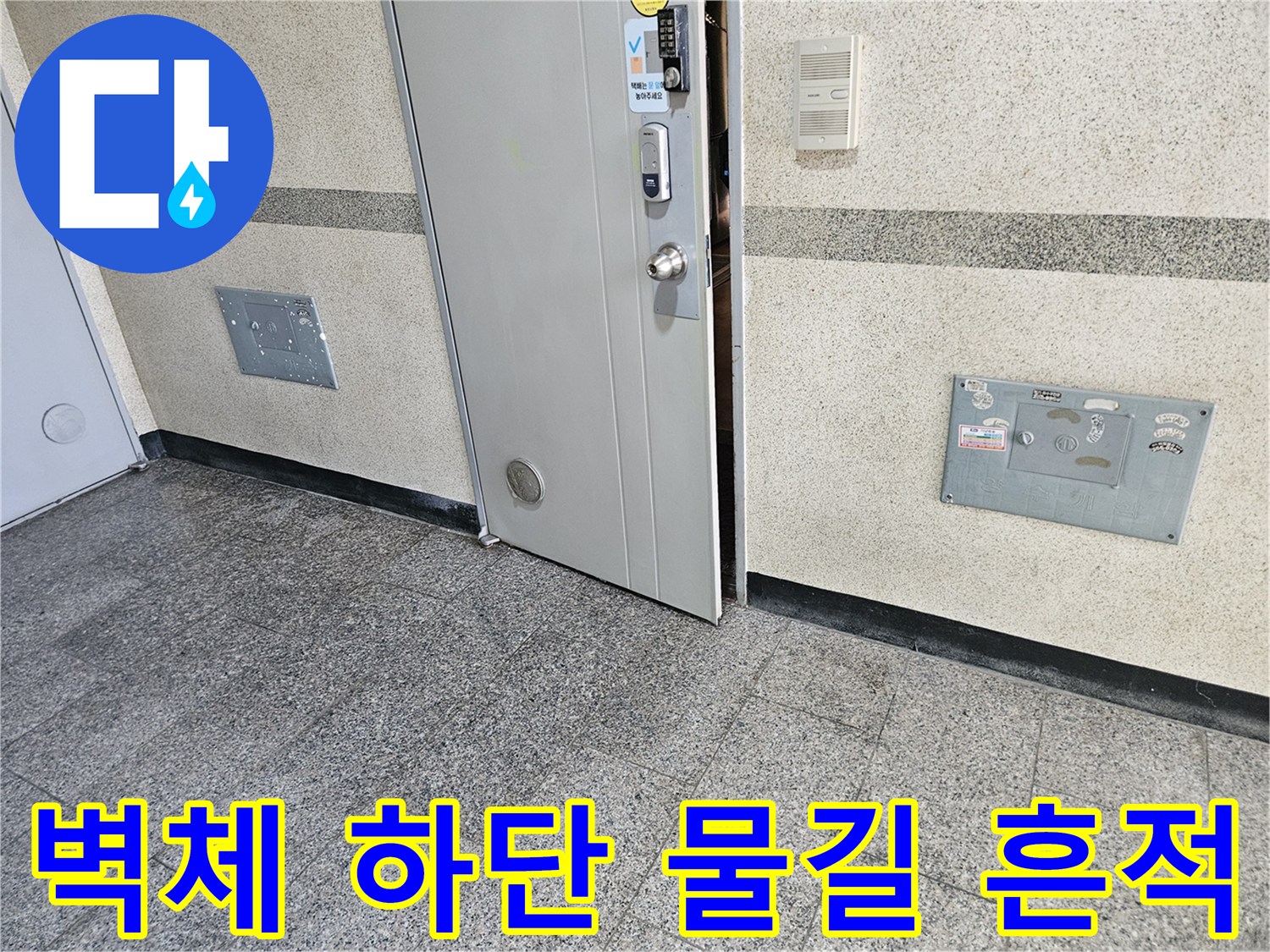 물샘 현상으로 인해 변색된 현관 벽면 하단부
