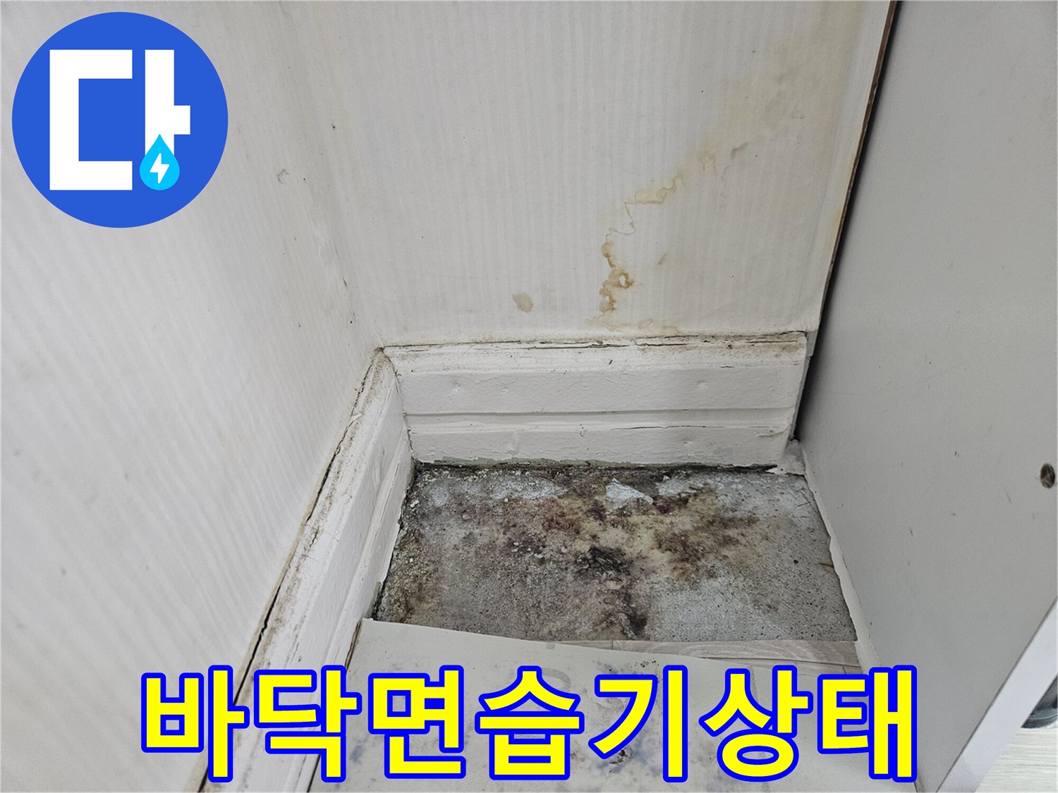 장판-아래쪽-콘크리트-슬래브-습기-및-오염