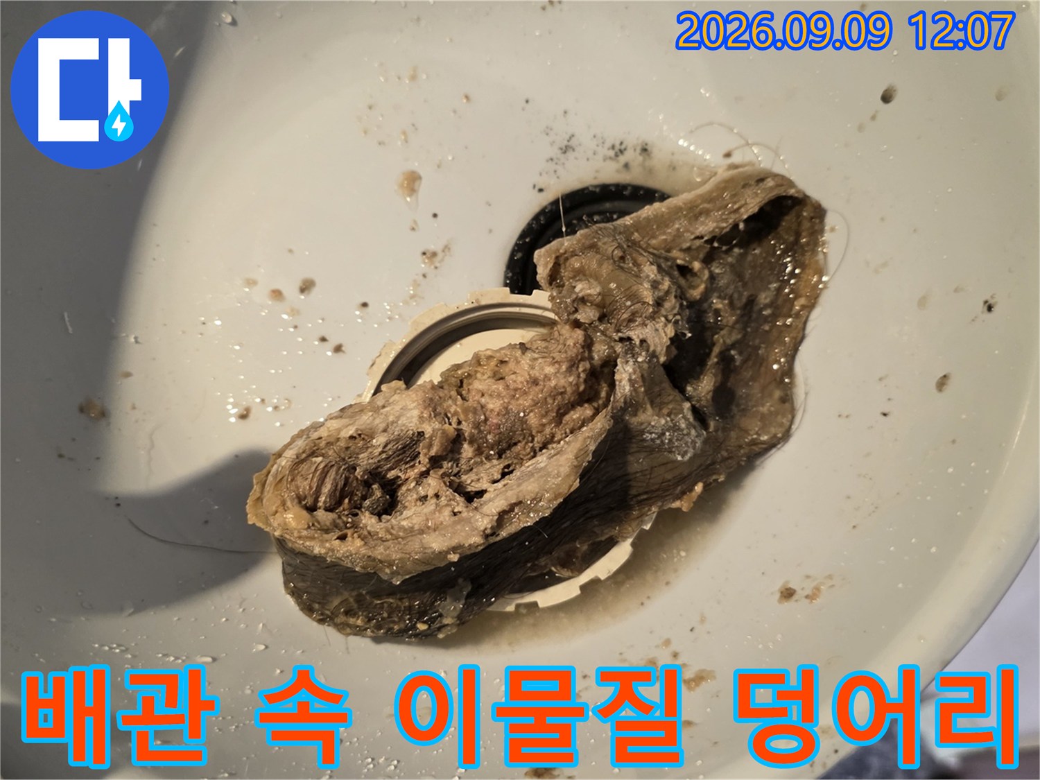 배수구에서 꺼낸 머리카락과 슬러지가 결합된 오염물