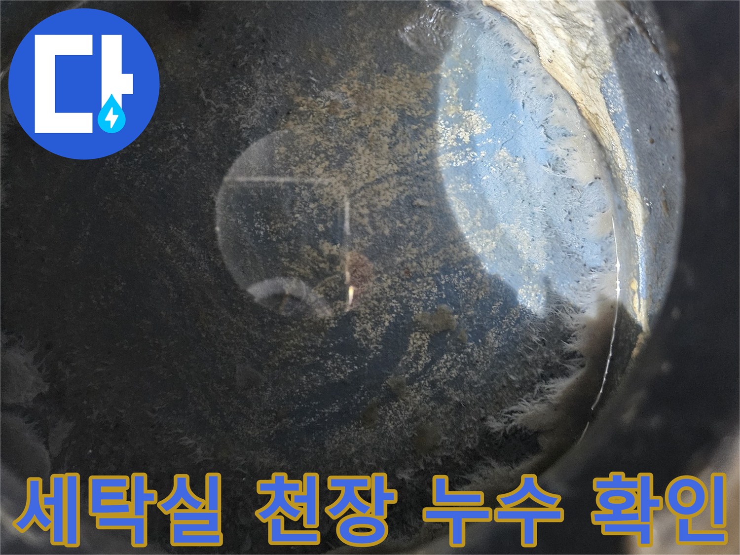 용인-처인구-세탁실-천장-물샘-현상-점검-사진