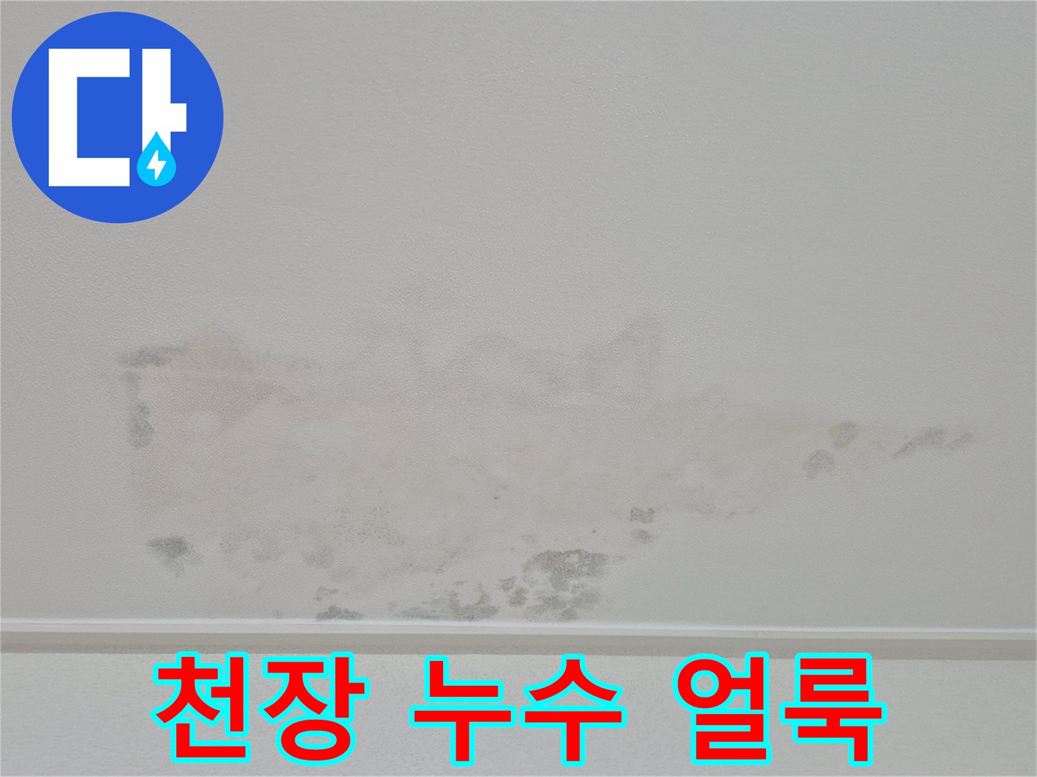 넓게-번져있는-천장-벽지의-젖은-자국