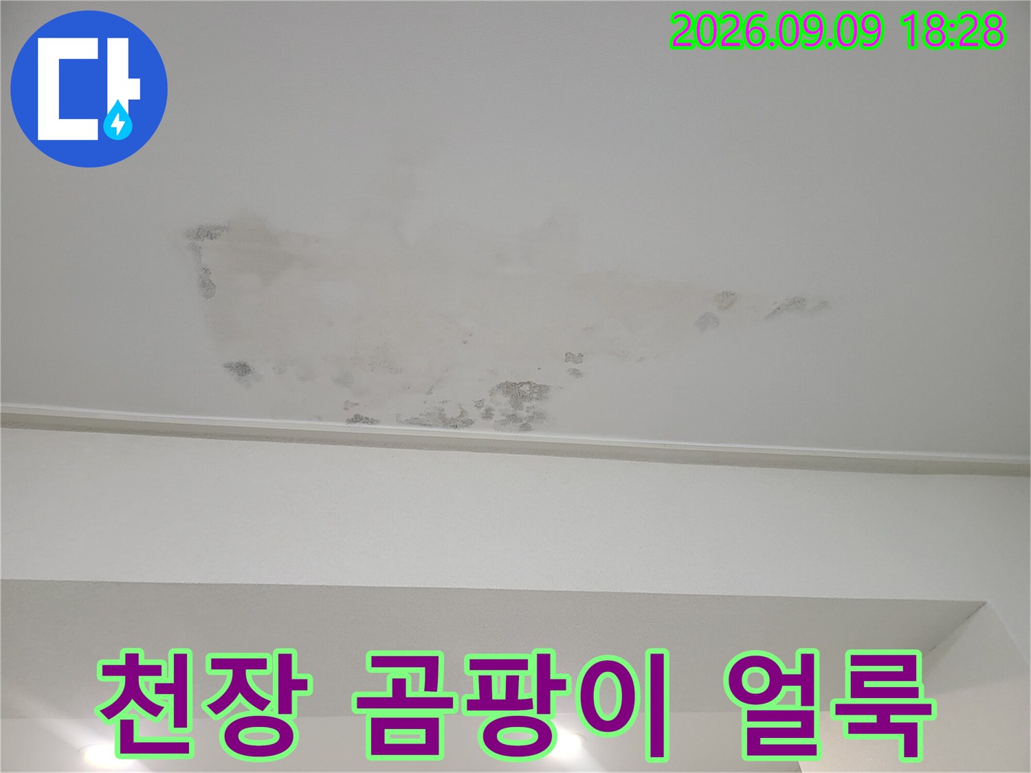 누수로 인해 물에 젖고 곰팡이가 발생한 천장 모습