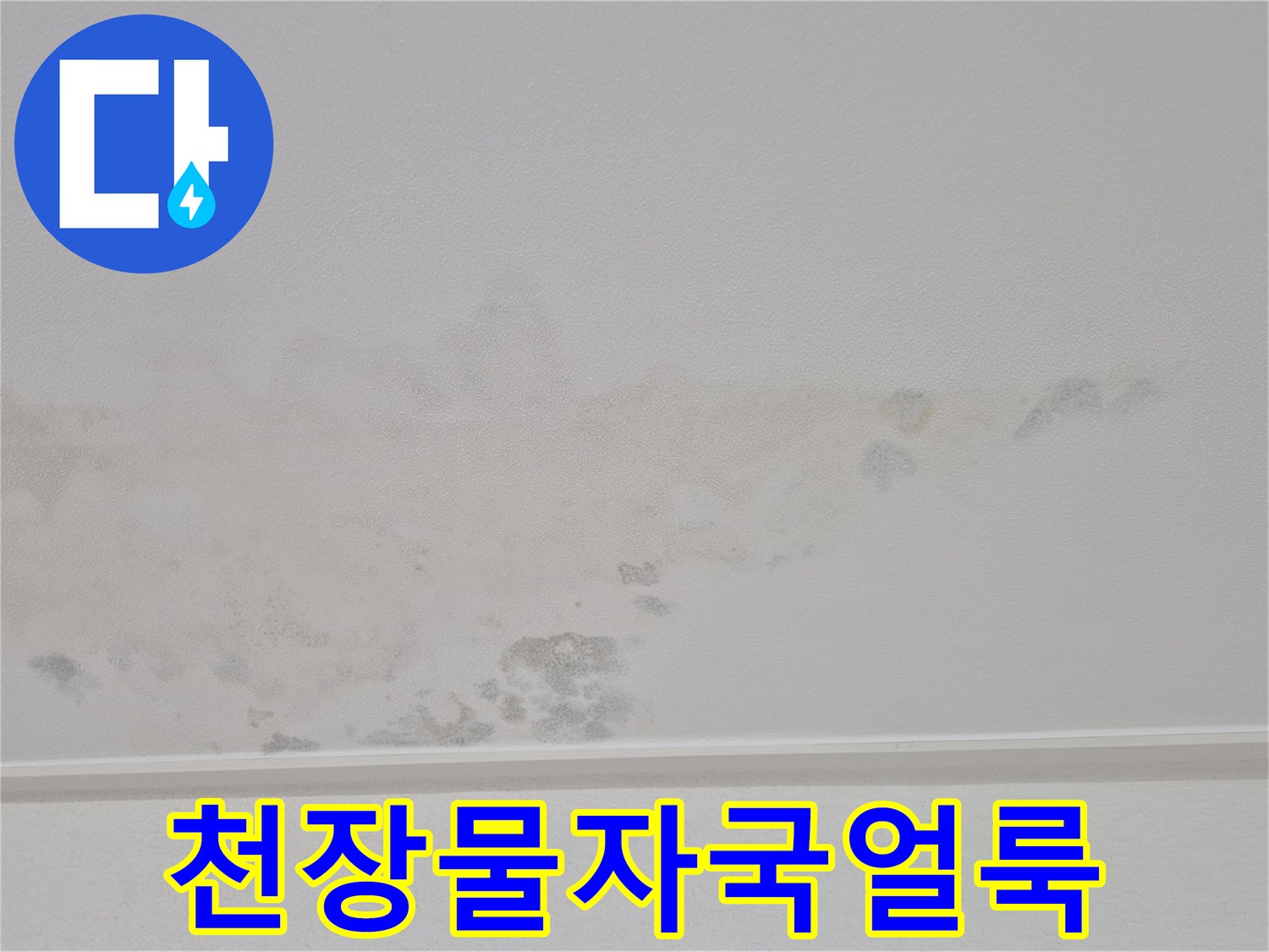 아파트-방천장-벽지-물자국-및-변색-상태