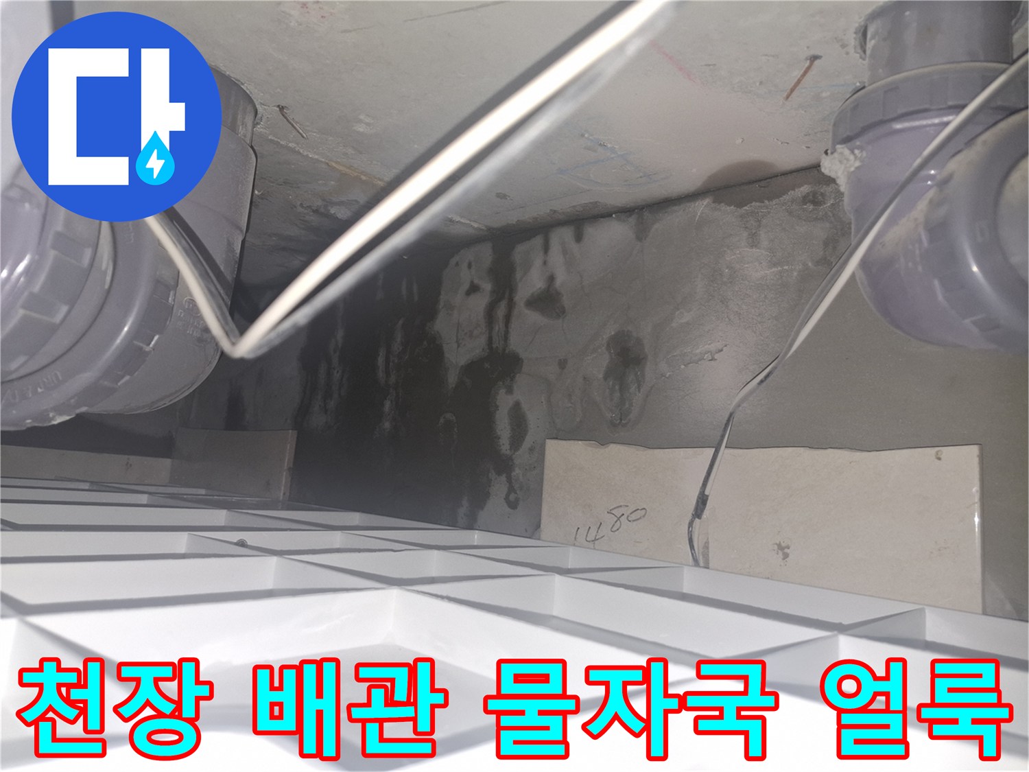 누수가 발생한 현장 - 배관 주변의 검은 변색 부위