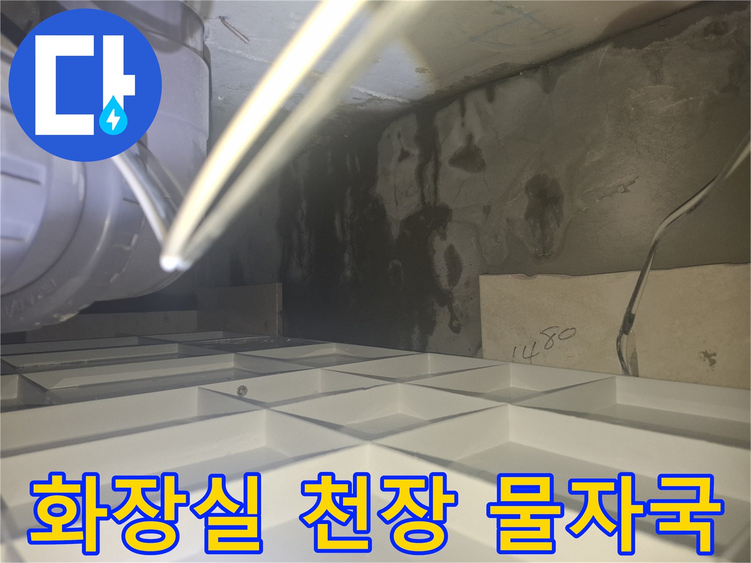 양주 삼숭동 아파트 - 화장실 천장 내부의 검은 물 자국과 습기 상태