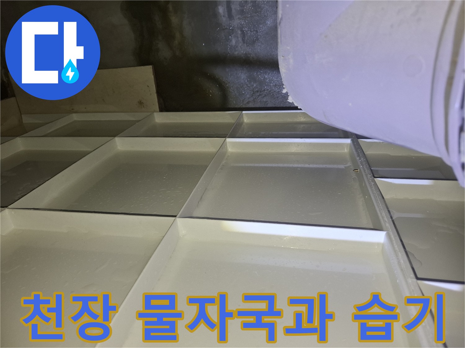 양주 삼숭동 현장-천장 콘크리트 벽면의 물자국과 습기 상태
