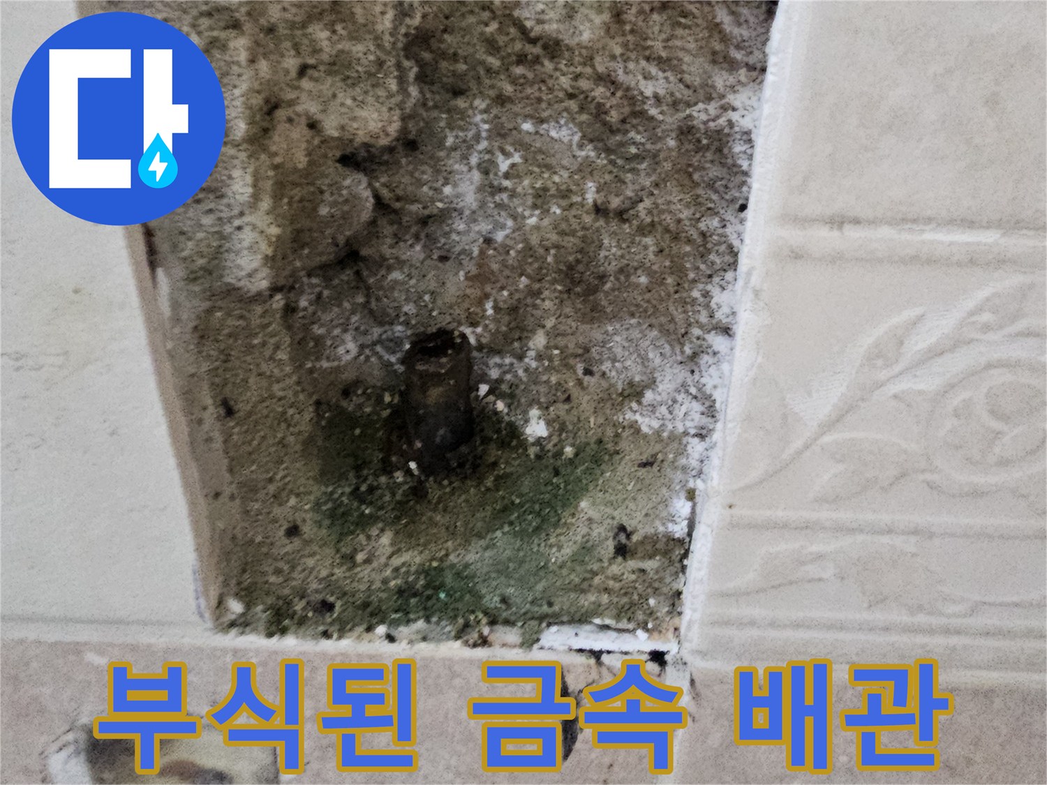 양주 장흥-굴착된 타일 안쪽의 부식된 수도 배관