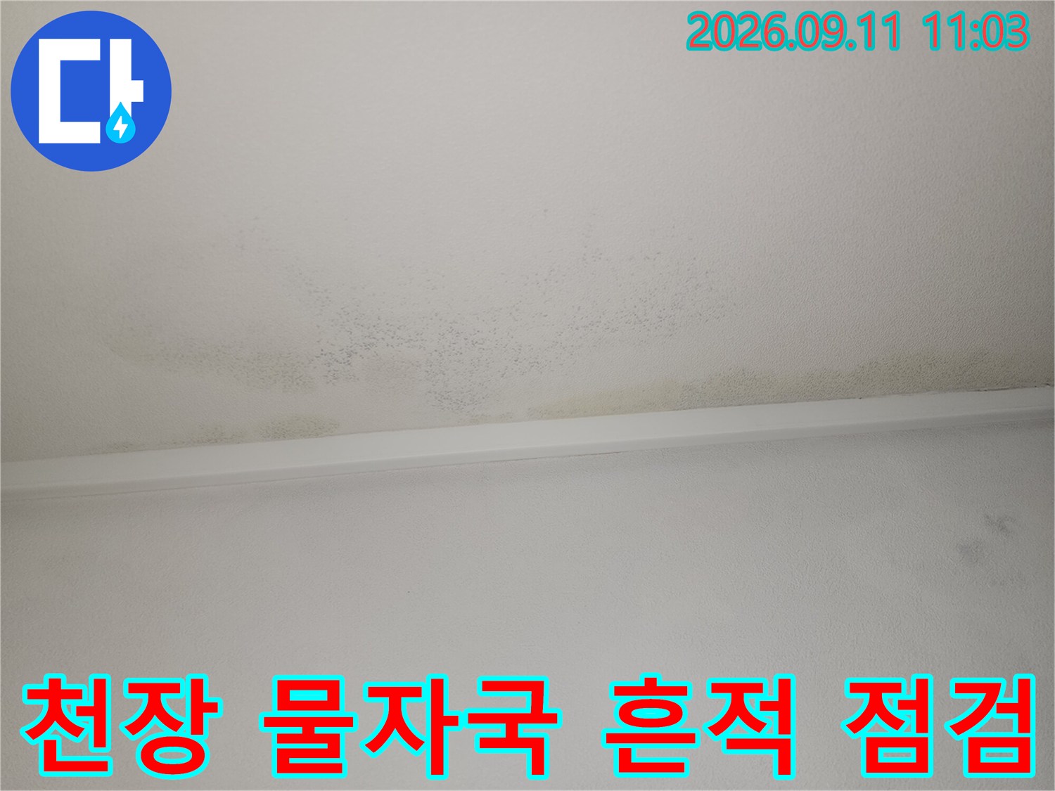 아파트 화장실 천장 경계 부위의 젖은 얼룩 상태