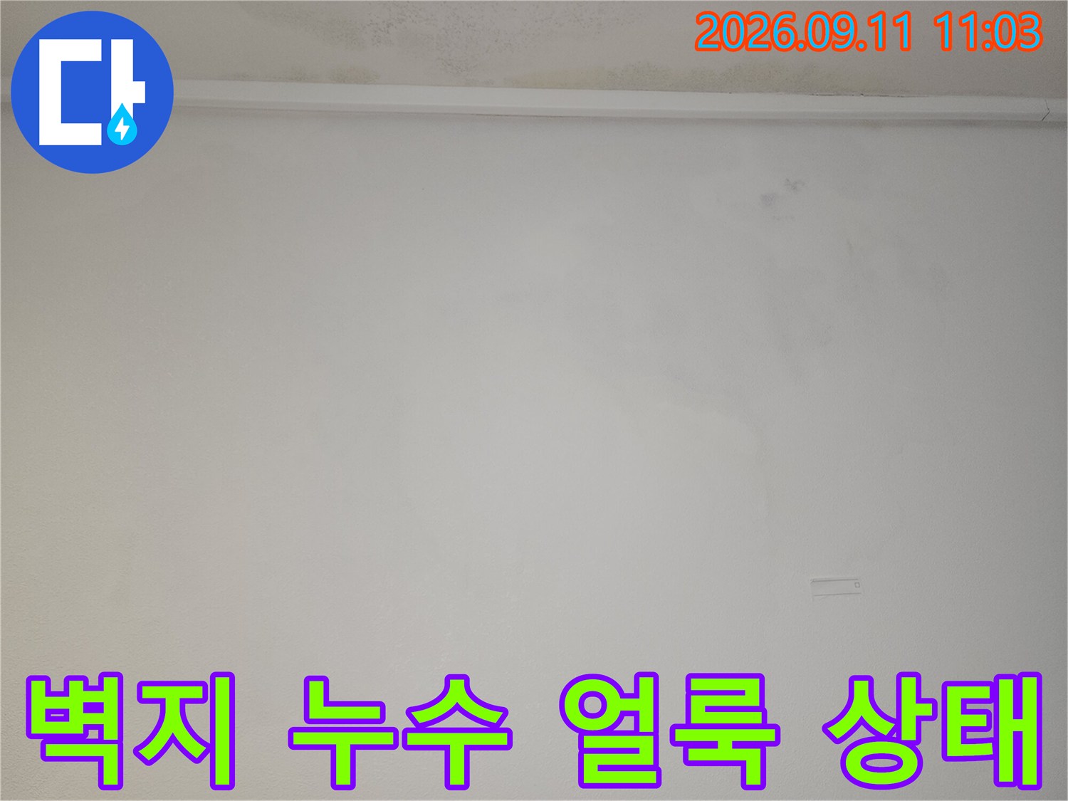 천장 가장자리를 따라 발생한 벽지 변색 및 누수 흔적