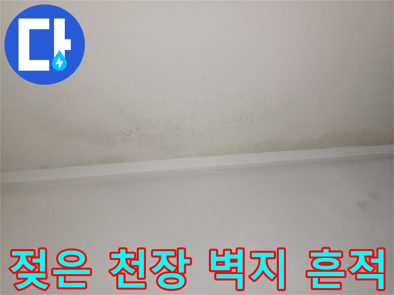천장 몰딩 부근-물샘으로 인해 젖어 있는 벽지 표면