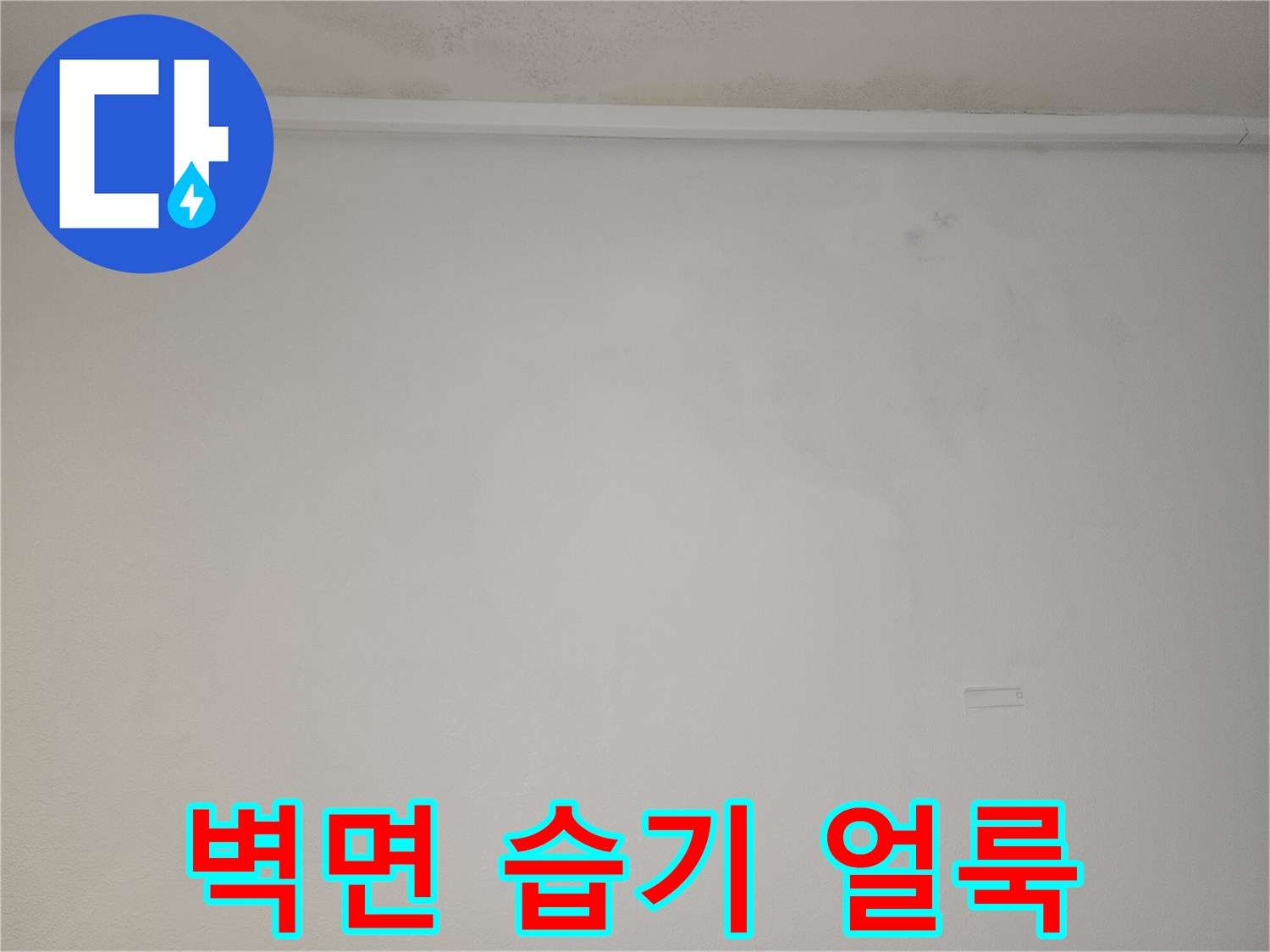 천장 벽면을 따라 넓게 퍼진 누수 흔적과 변색 부위